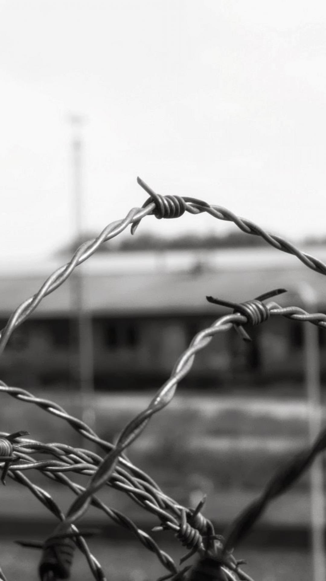 Barbed Wire Wallpapers - Top Free Barbed Wire Backgrounds - WallpaperAccess