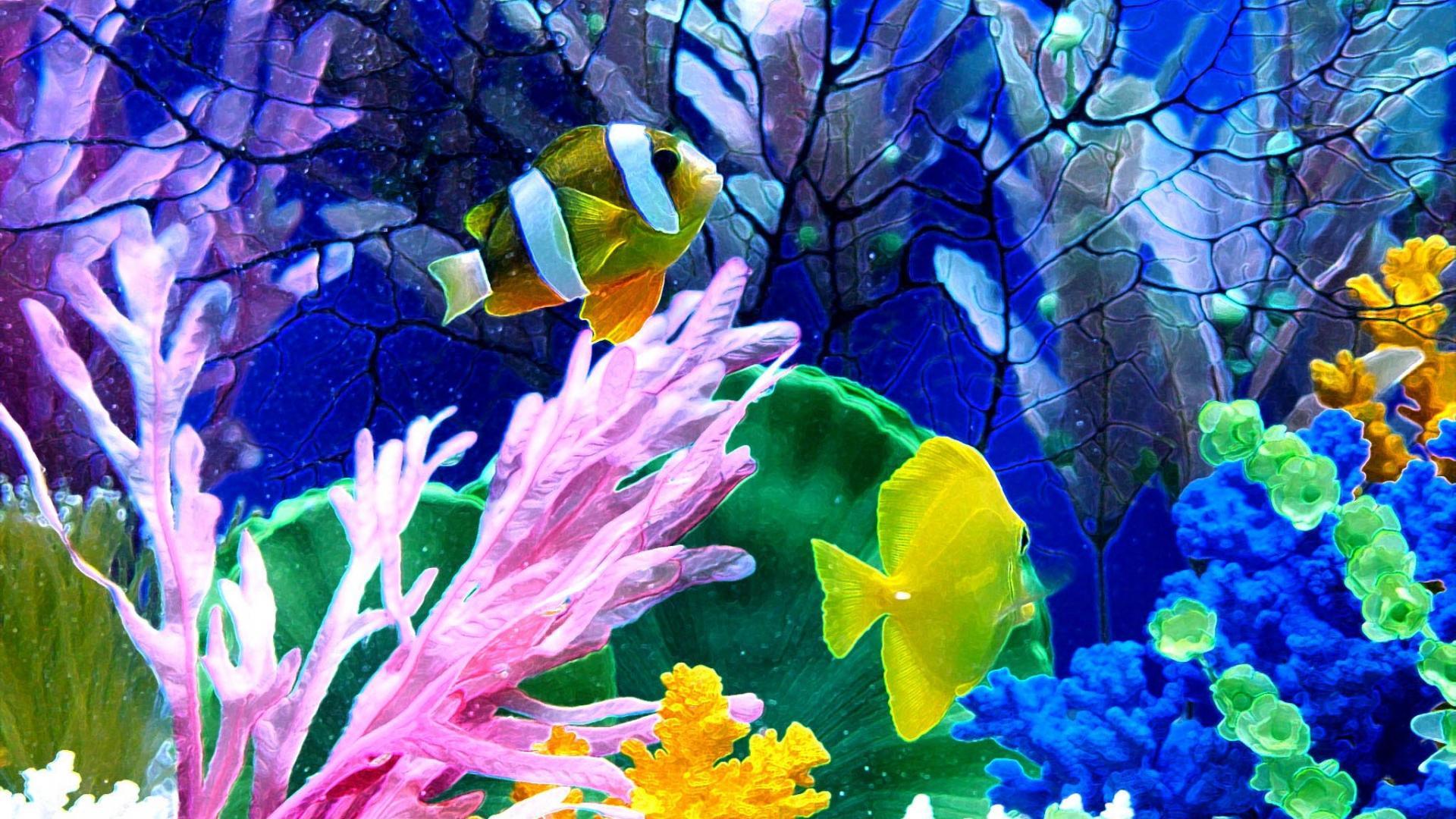 Aquarium Desktop Wallpapers - Top Free Aquarium Desktop Backgrounds