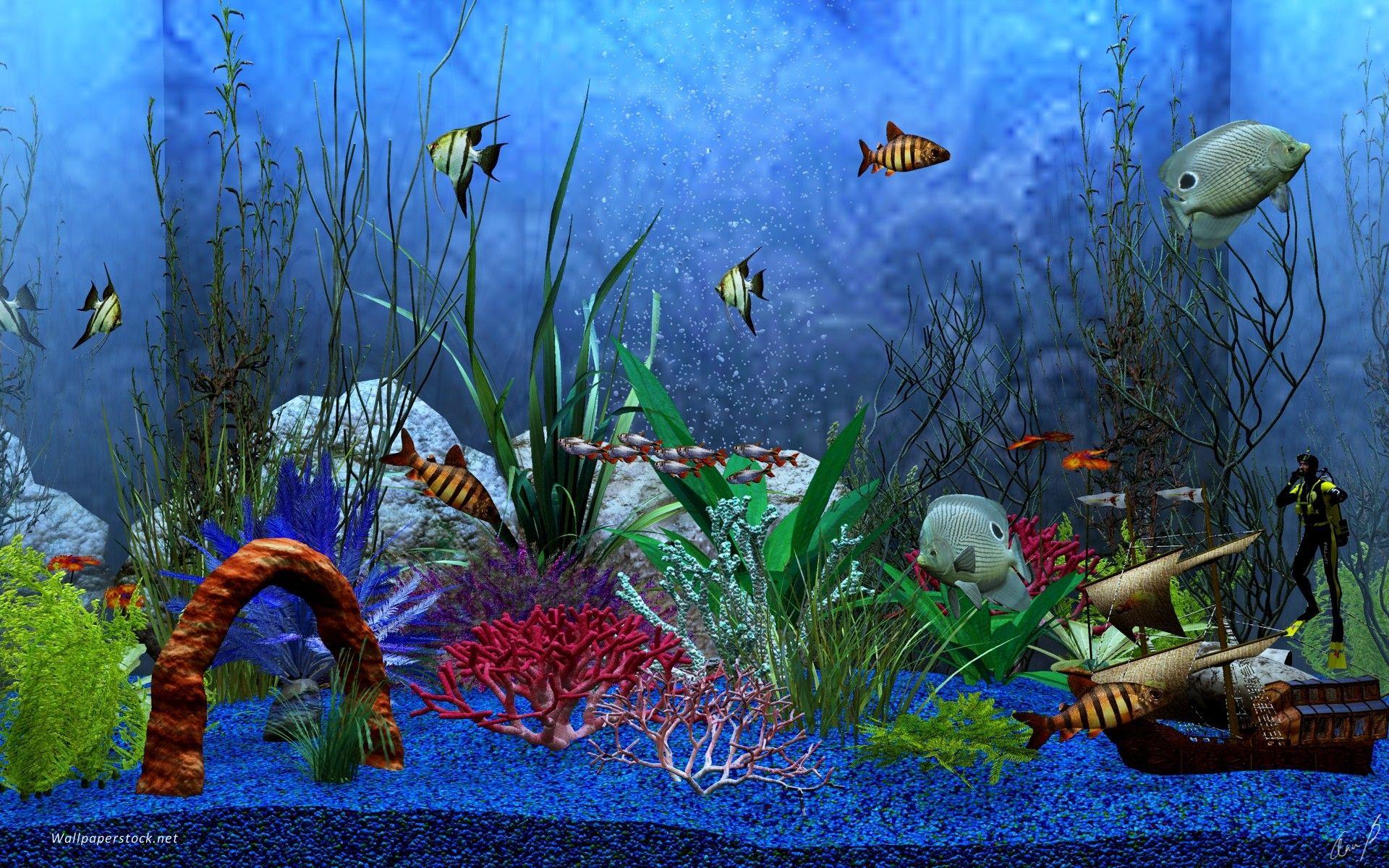 1920x1200 Aquarium Background Freedowload