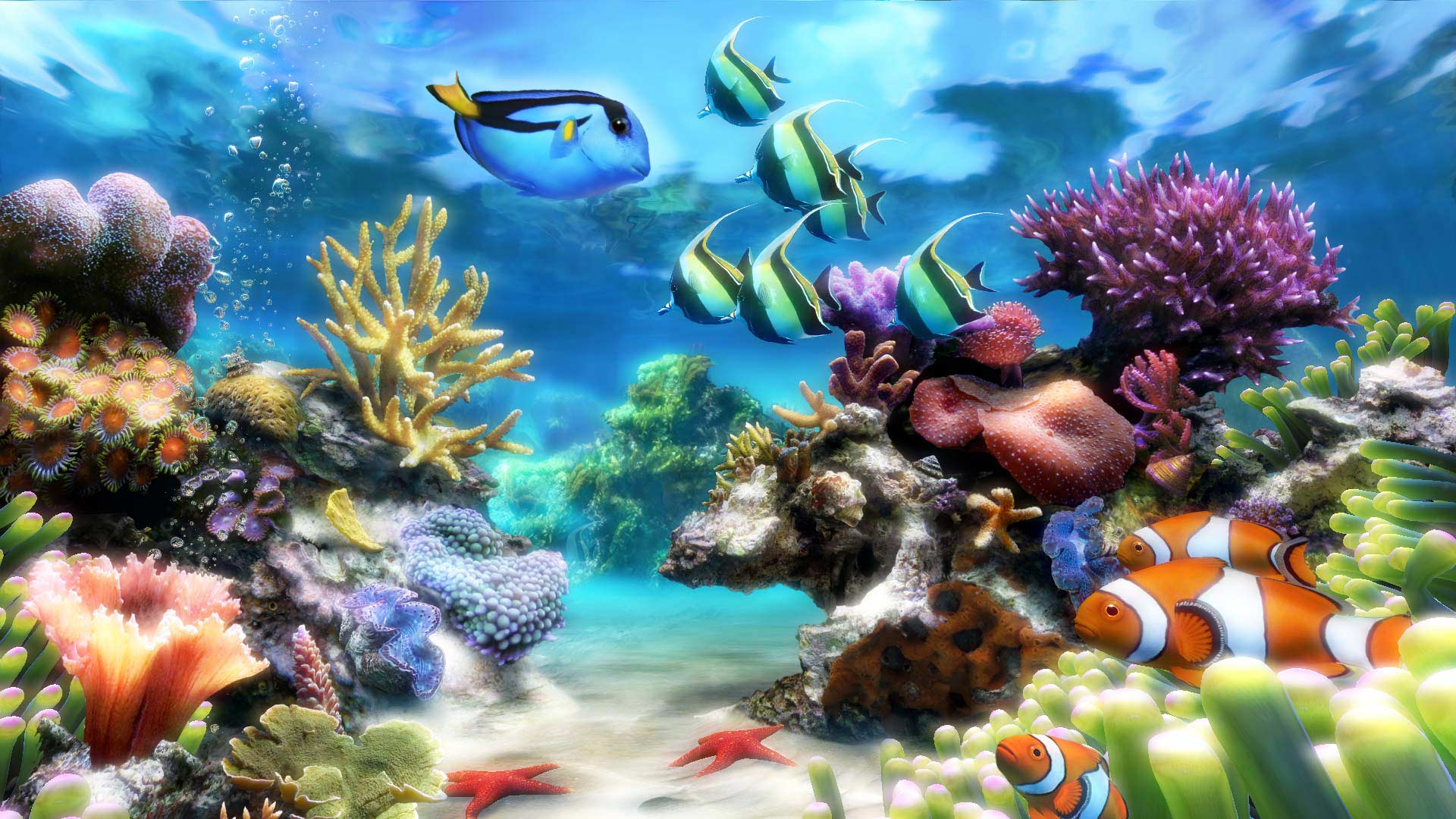 Best aquarium screensaver free download