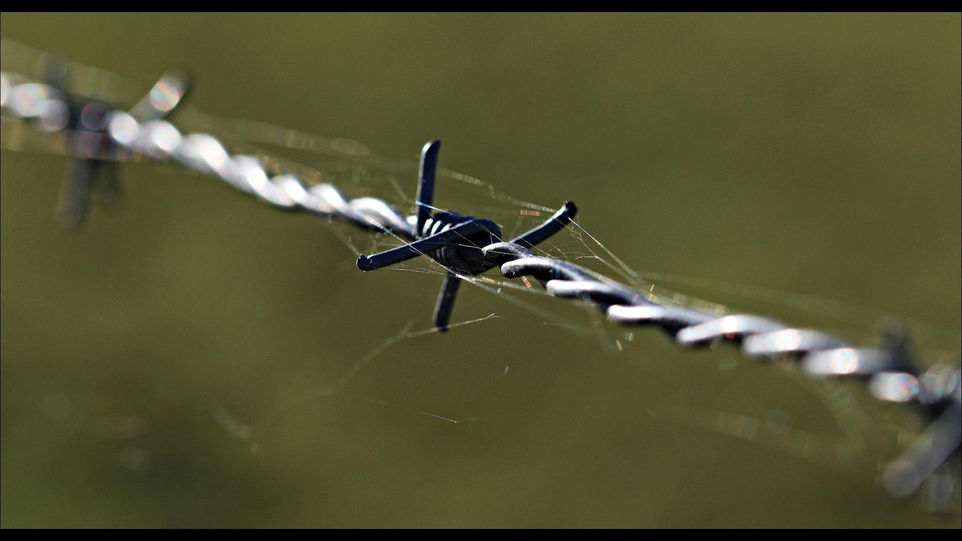 1920x1080 Barbed Wire Wallpaper for Android