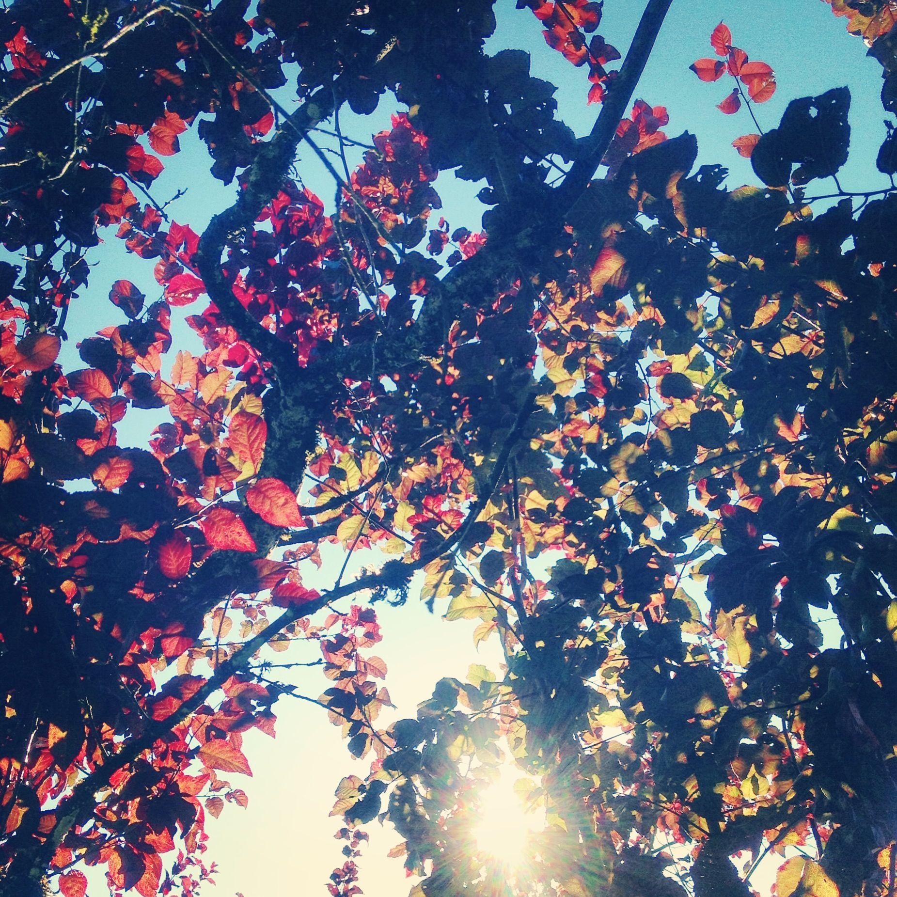 Artsy Wallpapers Top Free Artsy Backgrounds WallpaperAccess