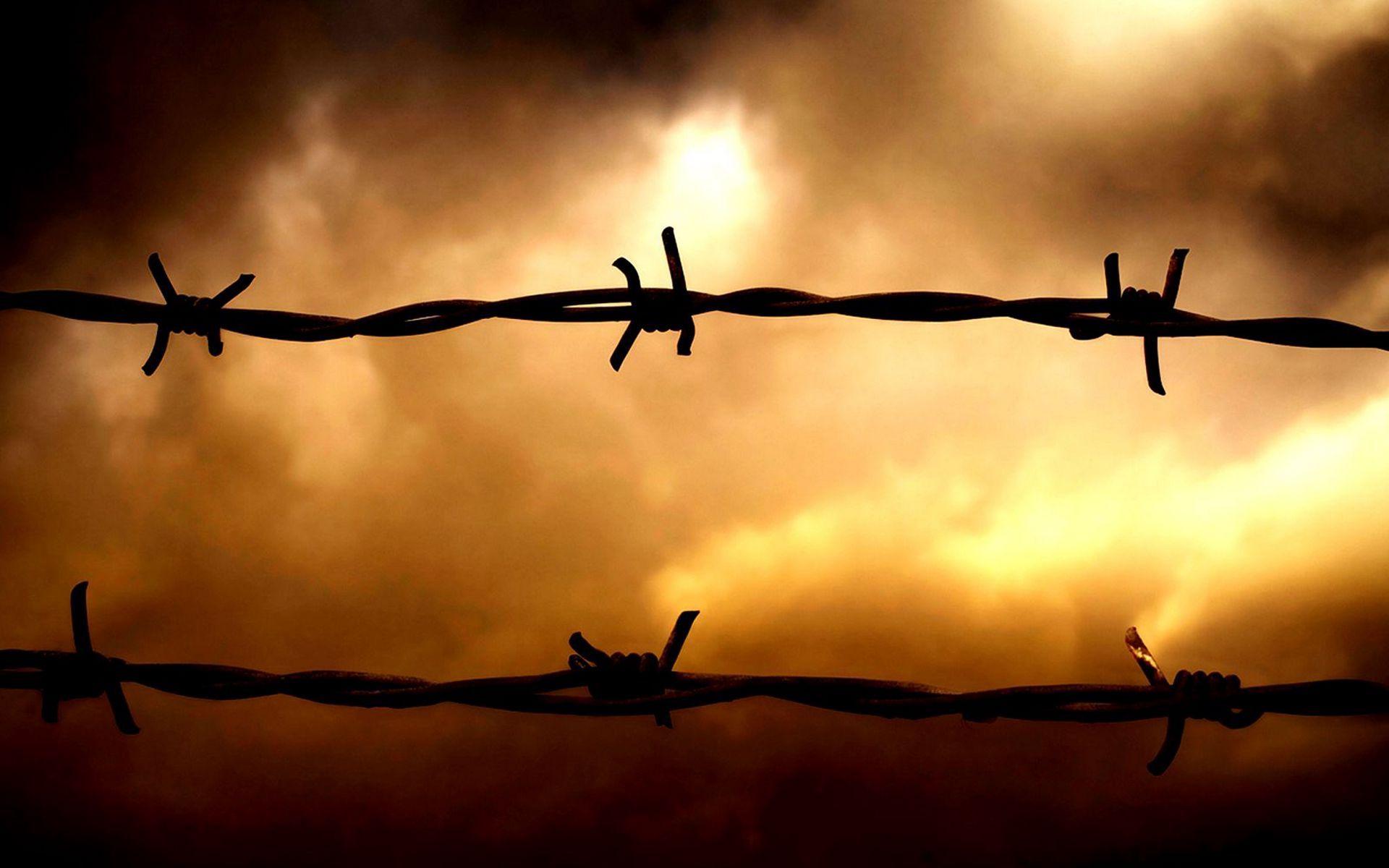 1920x1200 Download wallpaper 1920x1200 barbed wire, sunset, sky, obstruction