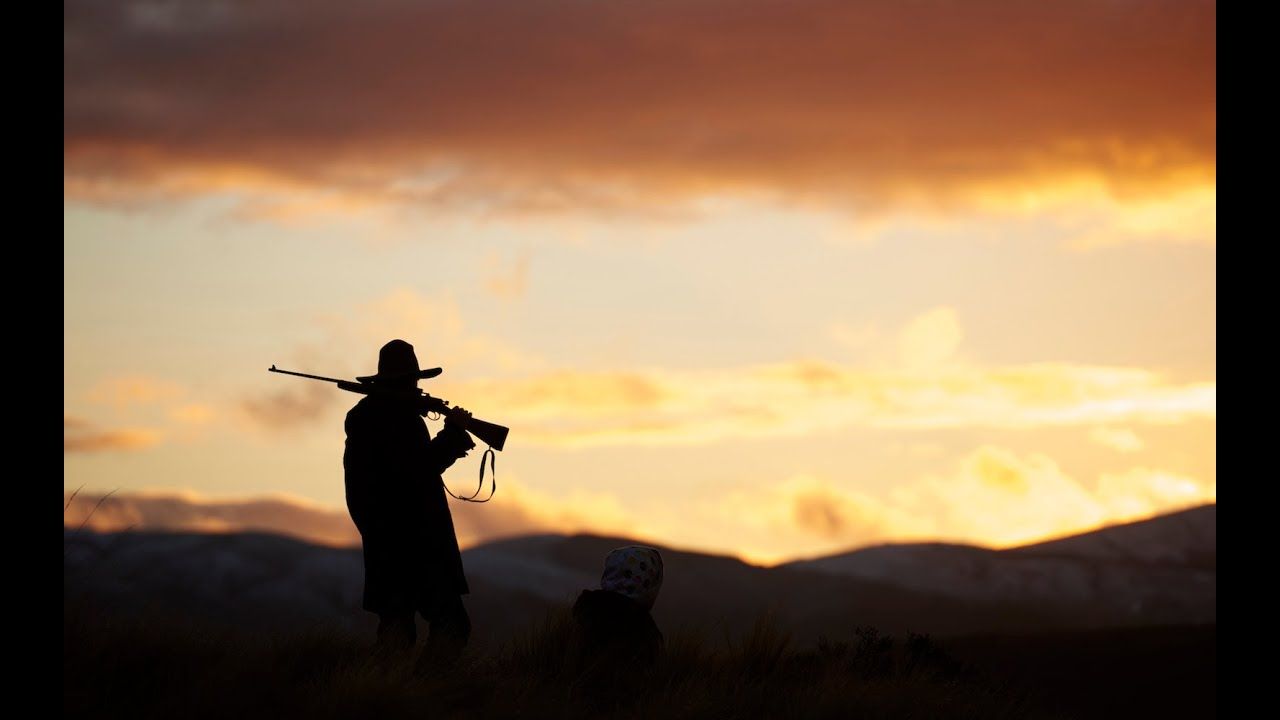 1280x720 Review: Hunt for the Wilderpeople