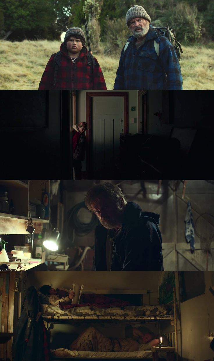 736x1242 Cinematography of Hunt for the Wilderpeople (2016)