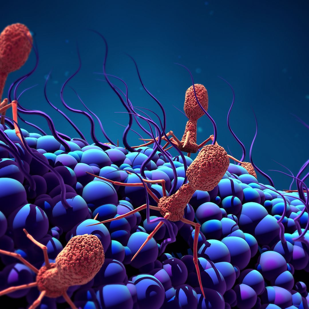 1080x1080 Scientists Discover Largest Bacteria Eating Virus. It Blurs Line Between Living And Nonliving