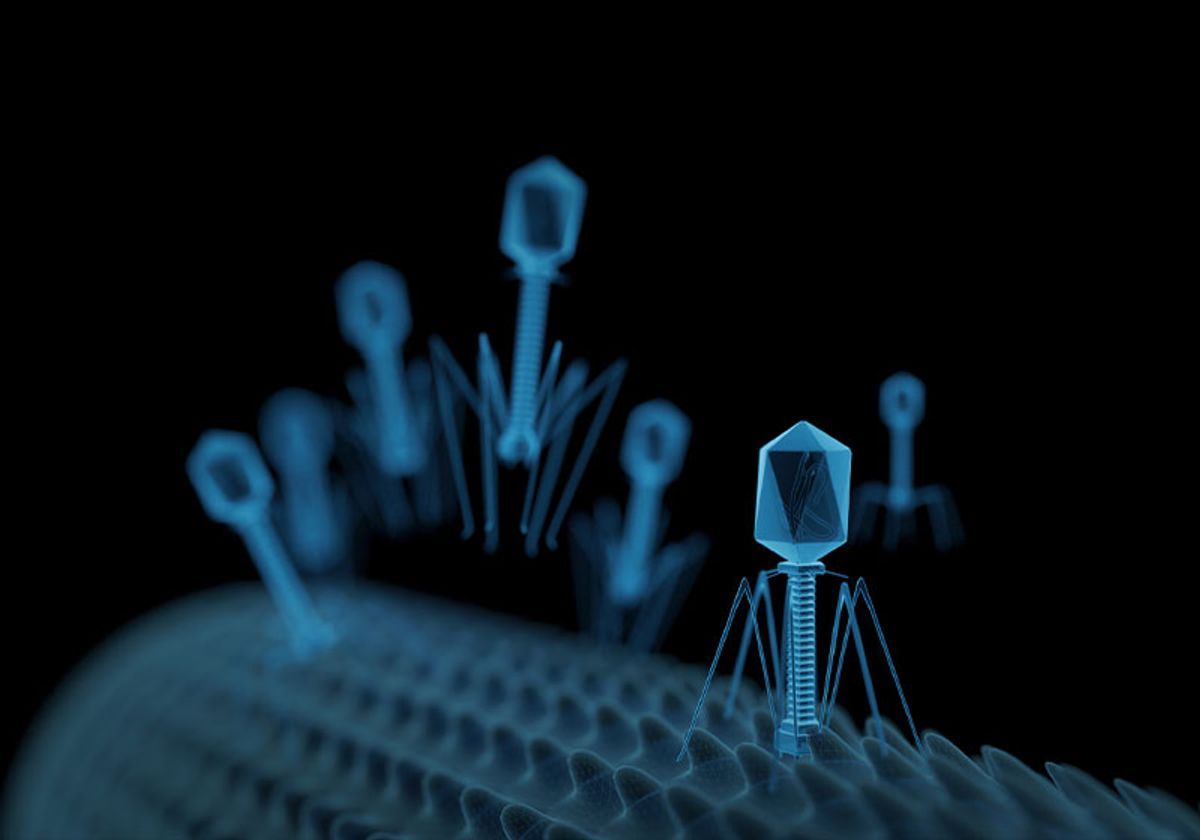 1200x840 Bacteria Disarm Phages by Disrupting Their Tail Assembly