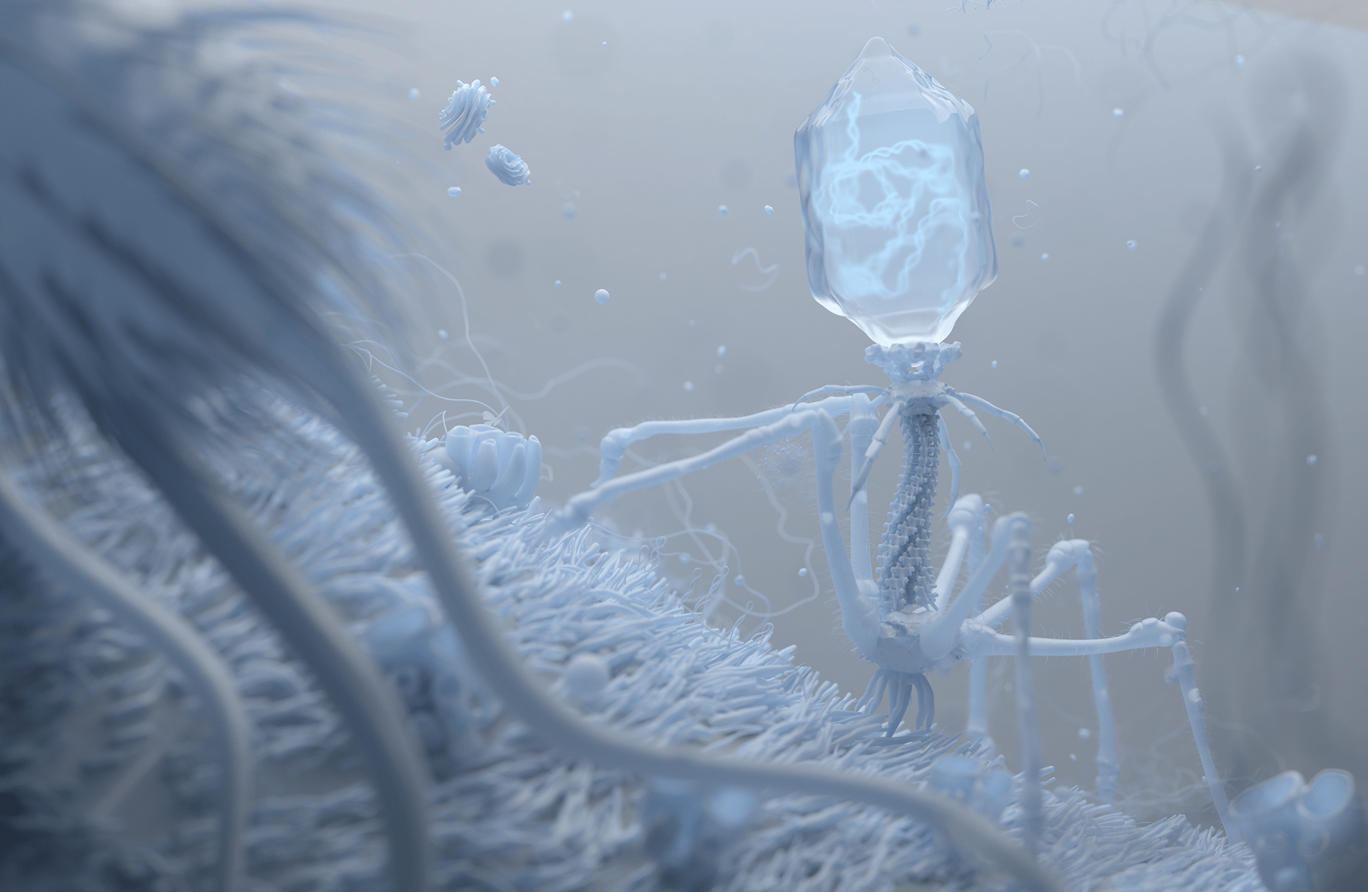 1920x1252 Bacteriophage (3). Image - Behance
