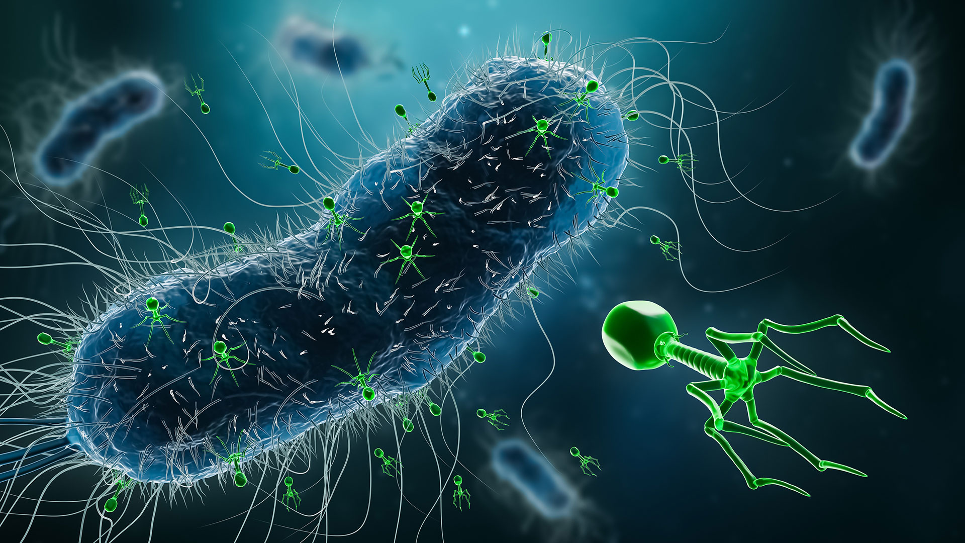 1920x1080 Phage therapy basis Institute of Immunology and Experimental Therapy
