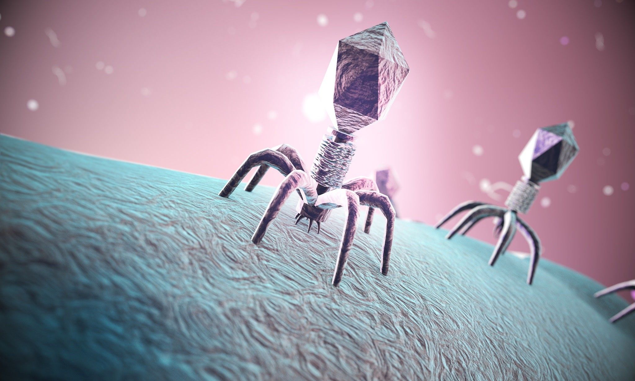 2048x1229 Power of Phages