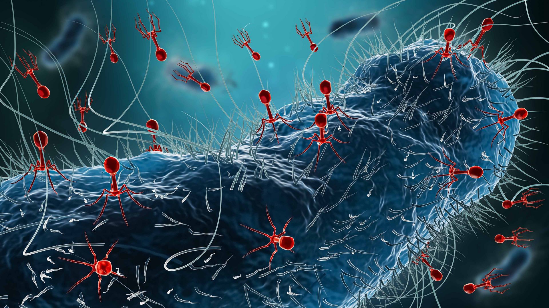 1920x1080 Phage research: Hacked!
