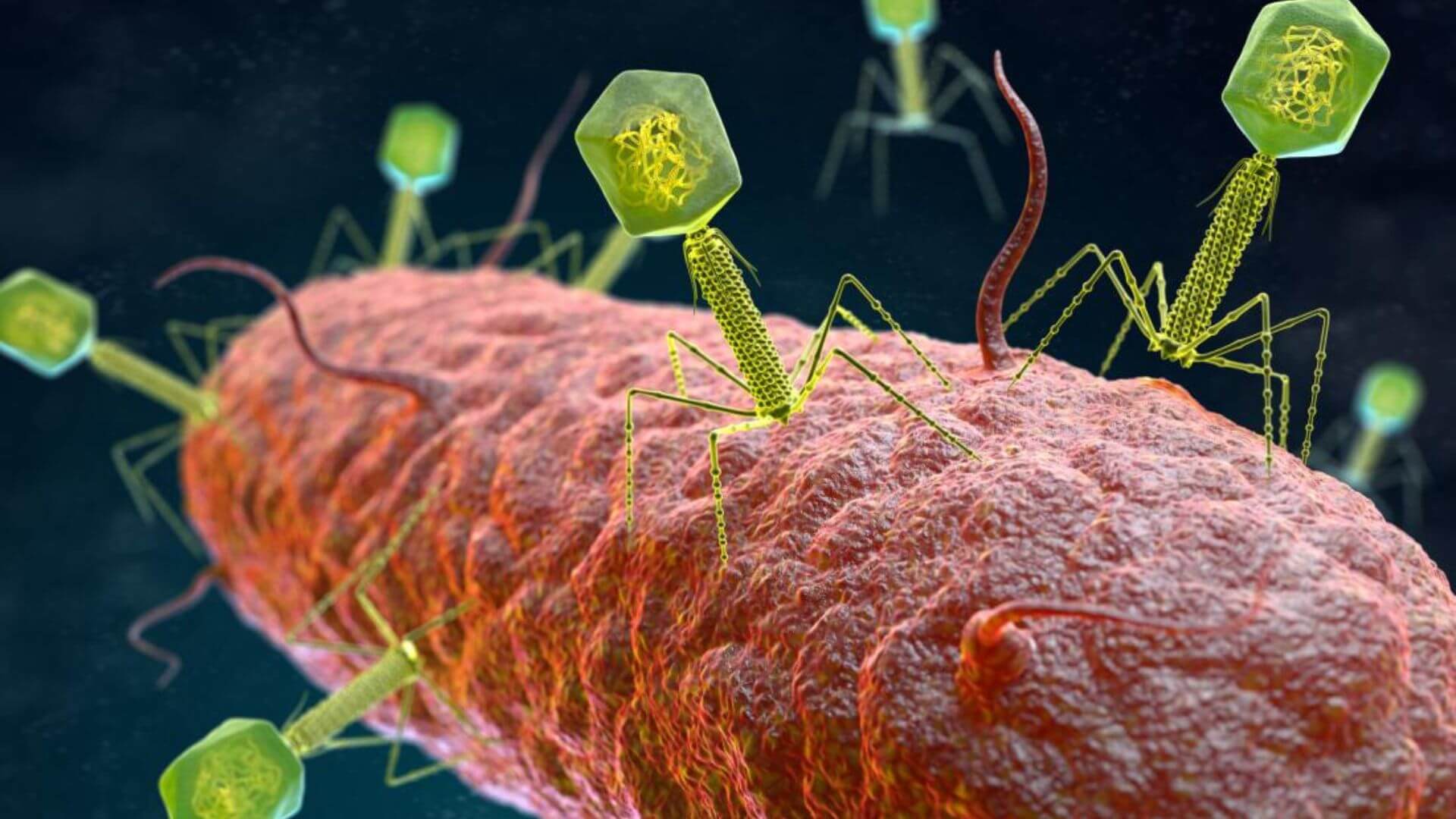 1920x1080 Army Defense Health Agency Awards CFD Research Contract to Develop Bacteriophage Collection System