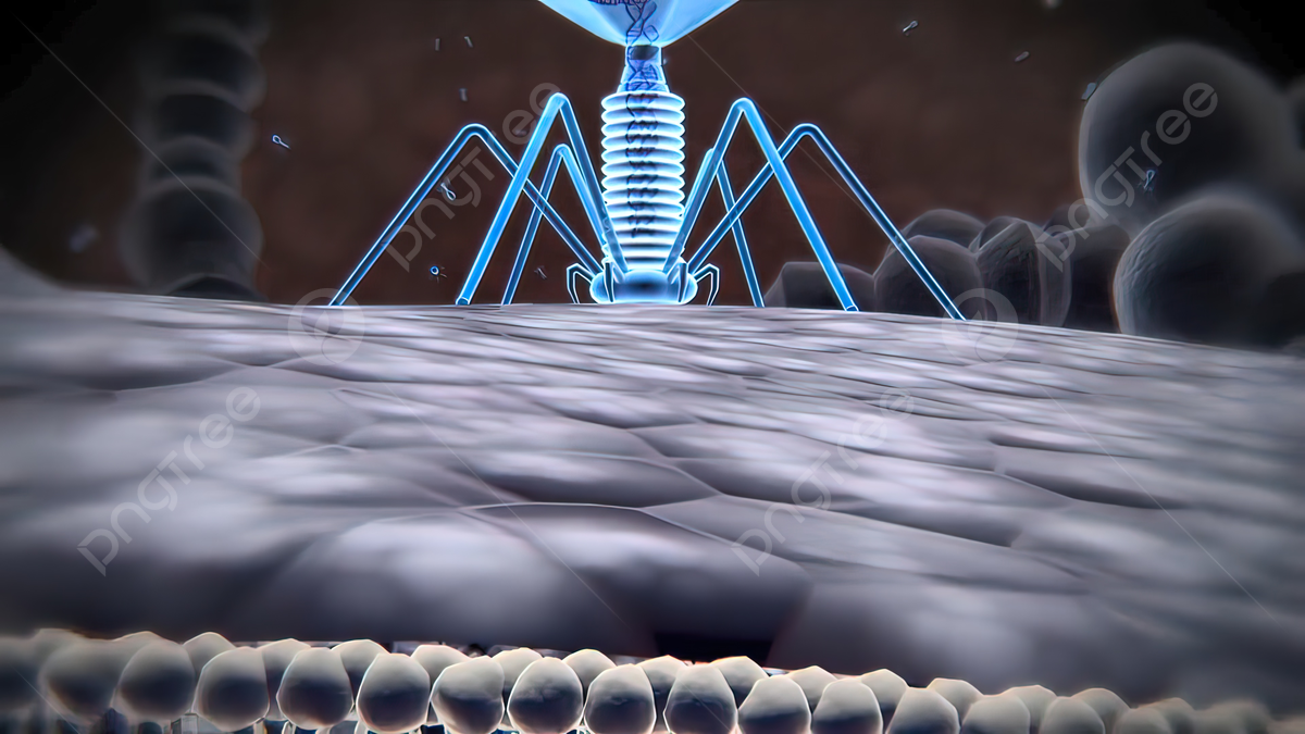 1200x675 A Bacteriophage Virus Injecting Dna To Replicate Inside And Kill Bacteria Photo Background And Picture For Free Download