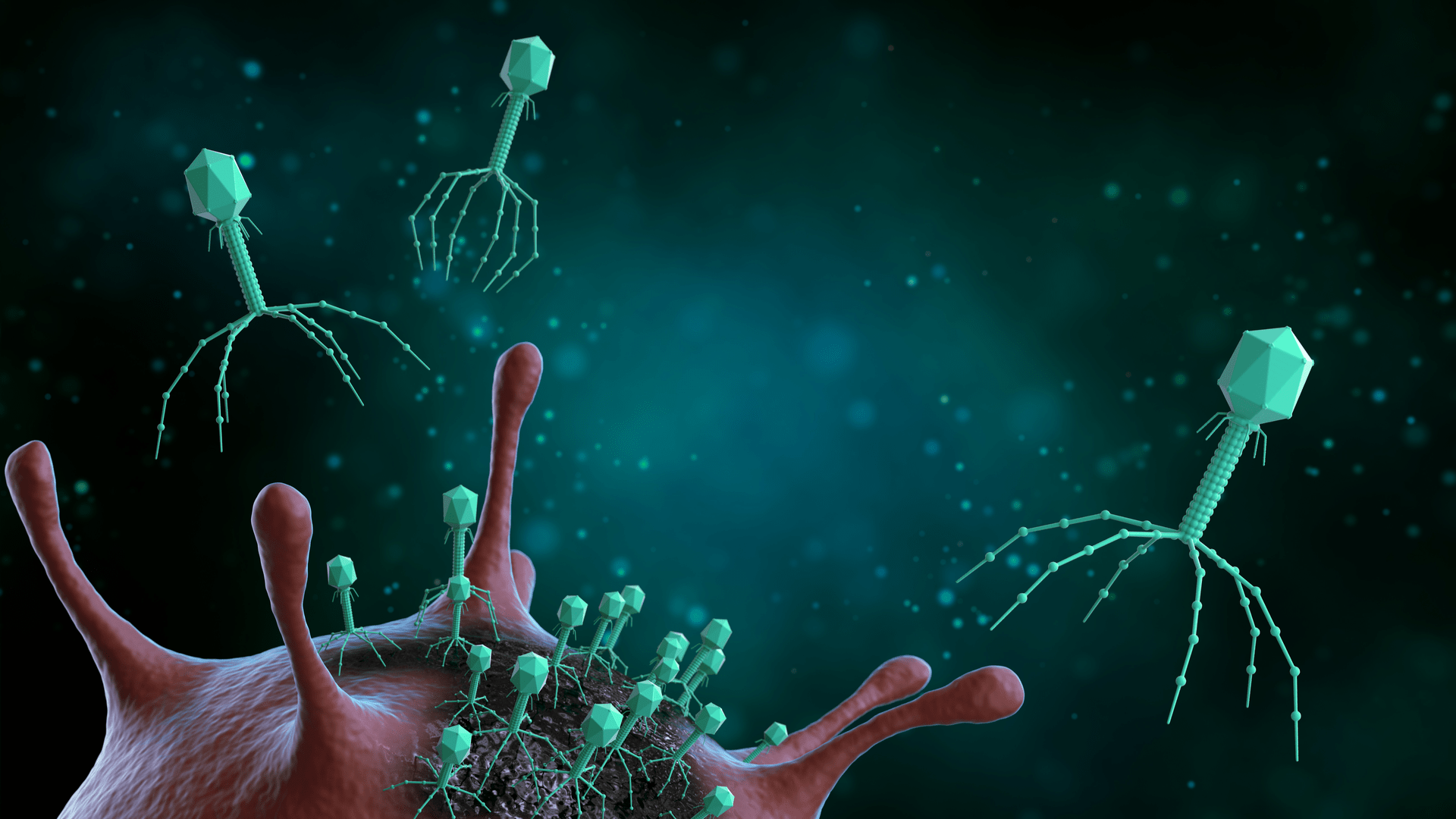 1920x1080 Viruses as 'antibiotics'- tests are positive