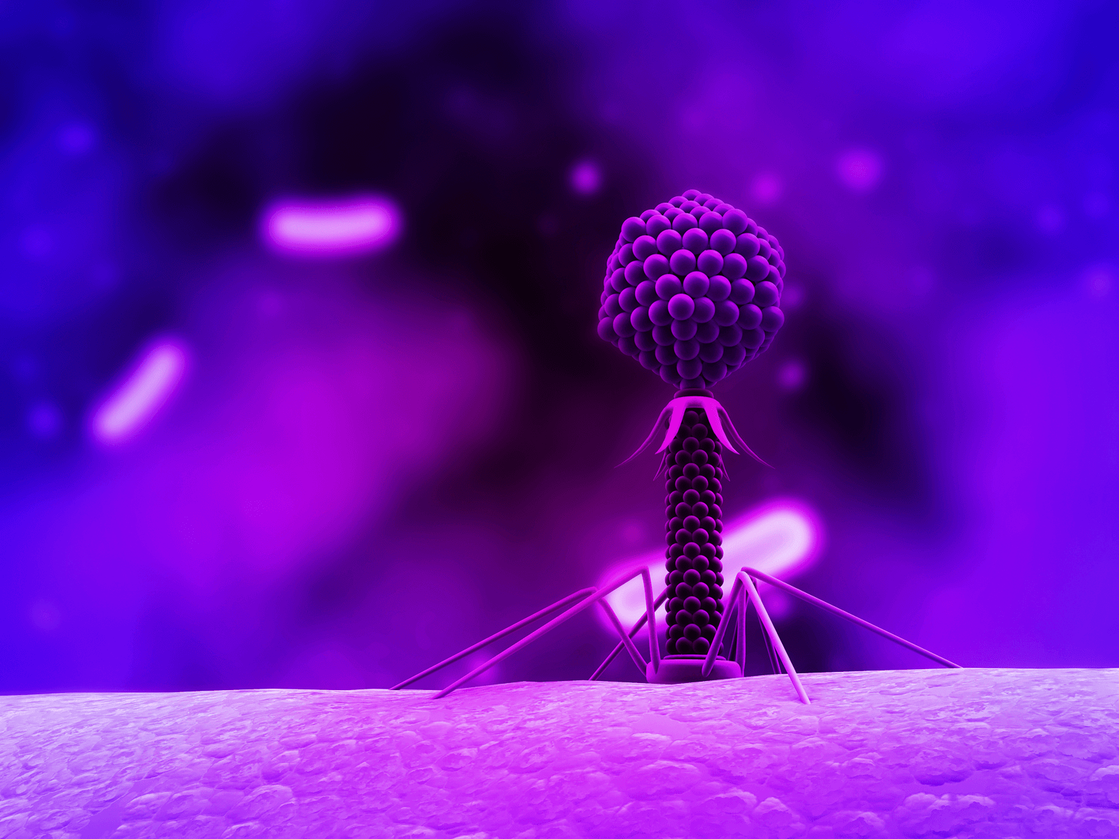 1600x1200 Articles published by Iranian researchers in the field of Bacteriophage