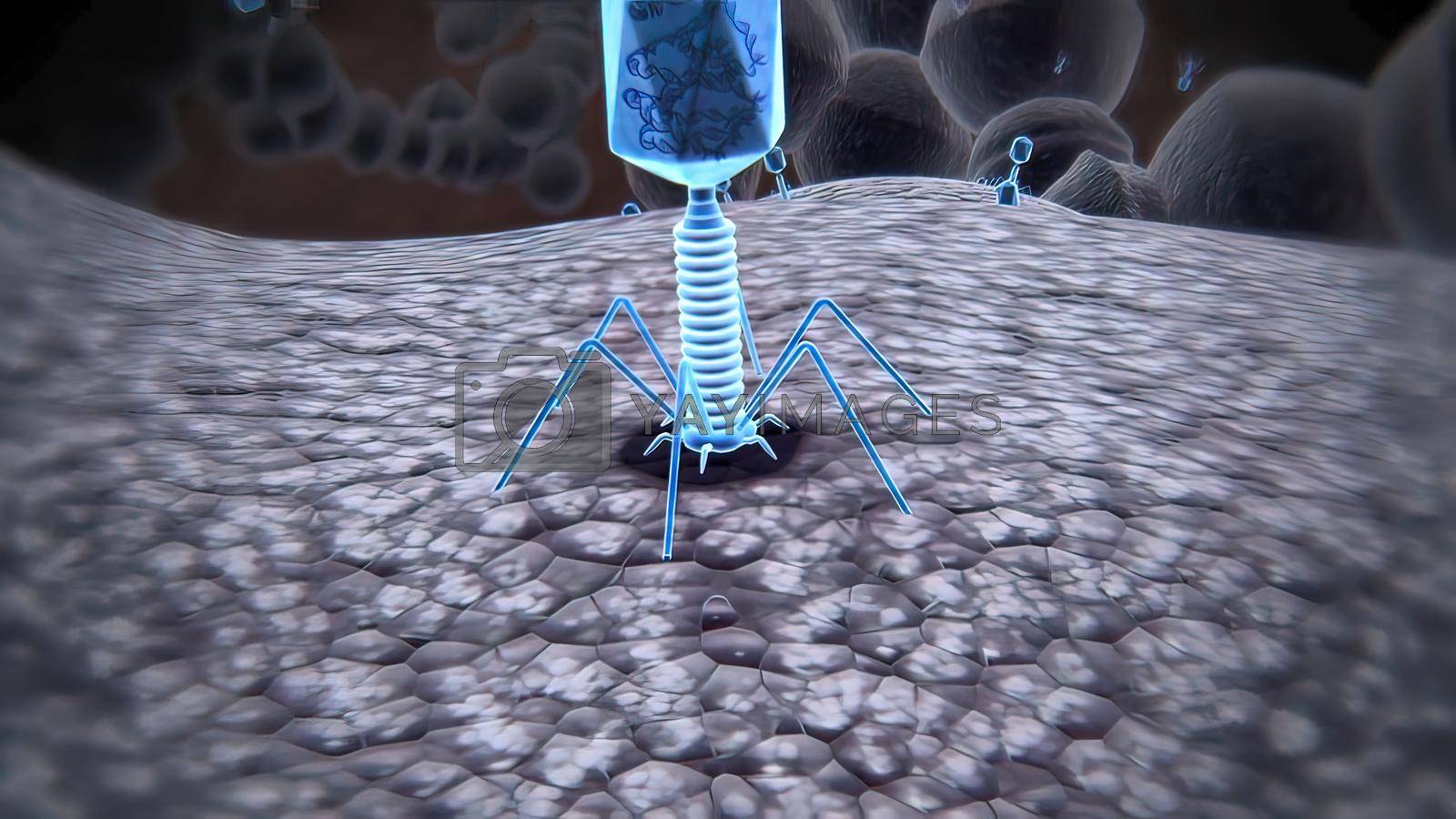 1600x900 A bacteriophage virus killing bacteria by injecting DNA to replicate within by creativepic Vectors & Illustrations with Unlimited Downloads