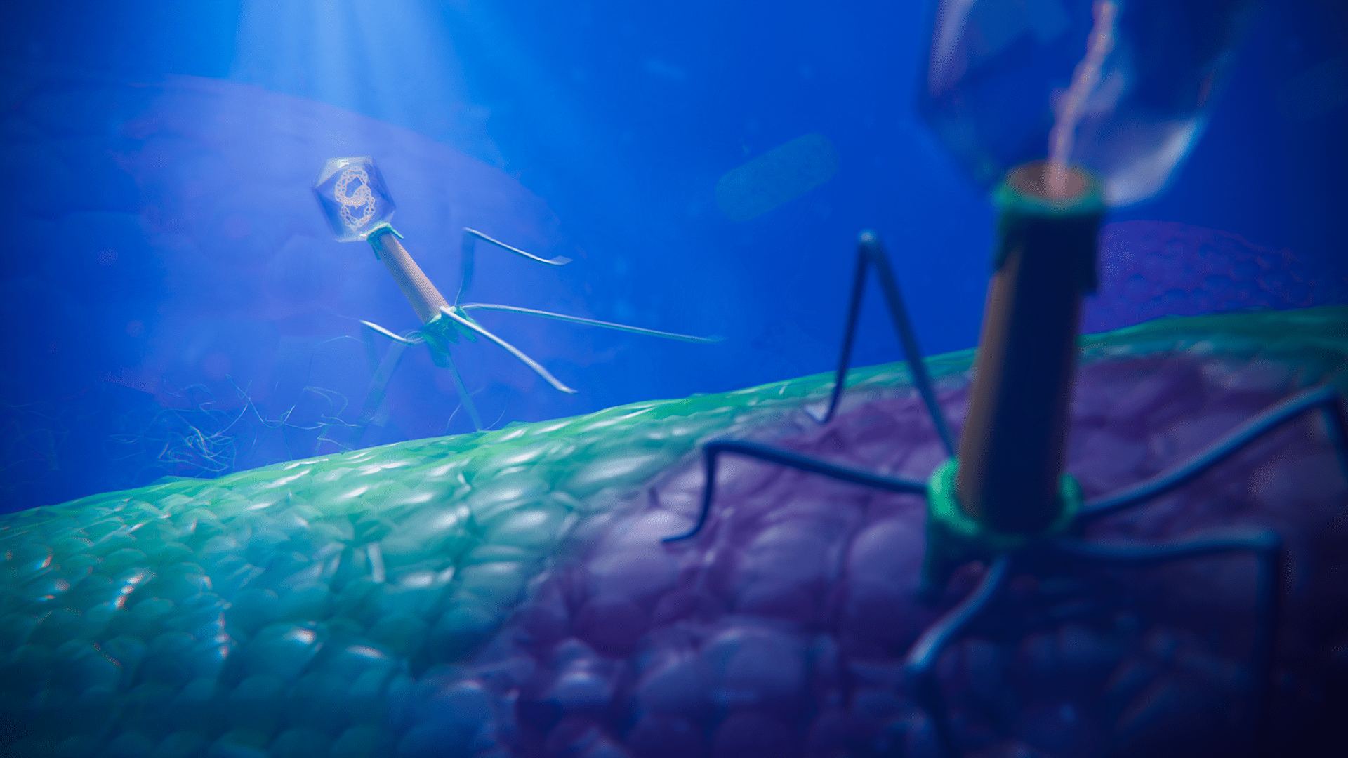 1920x1080 Bacteriophage Projects Artists Community