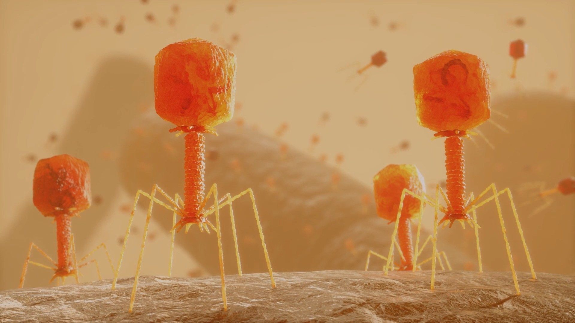 1920x1080 Bacteriophage. Interactive scientific article
