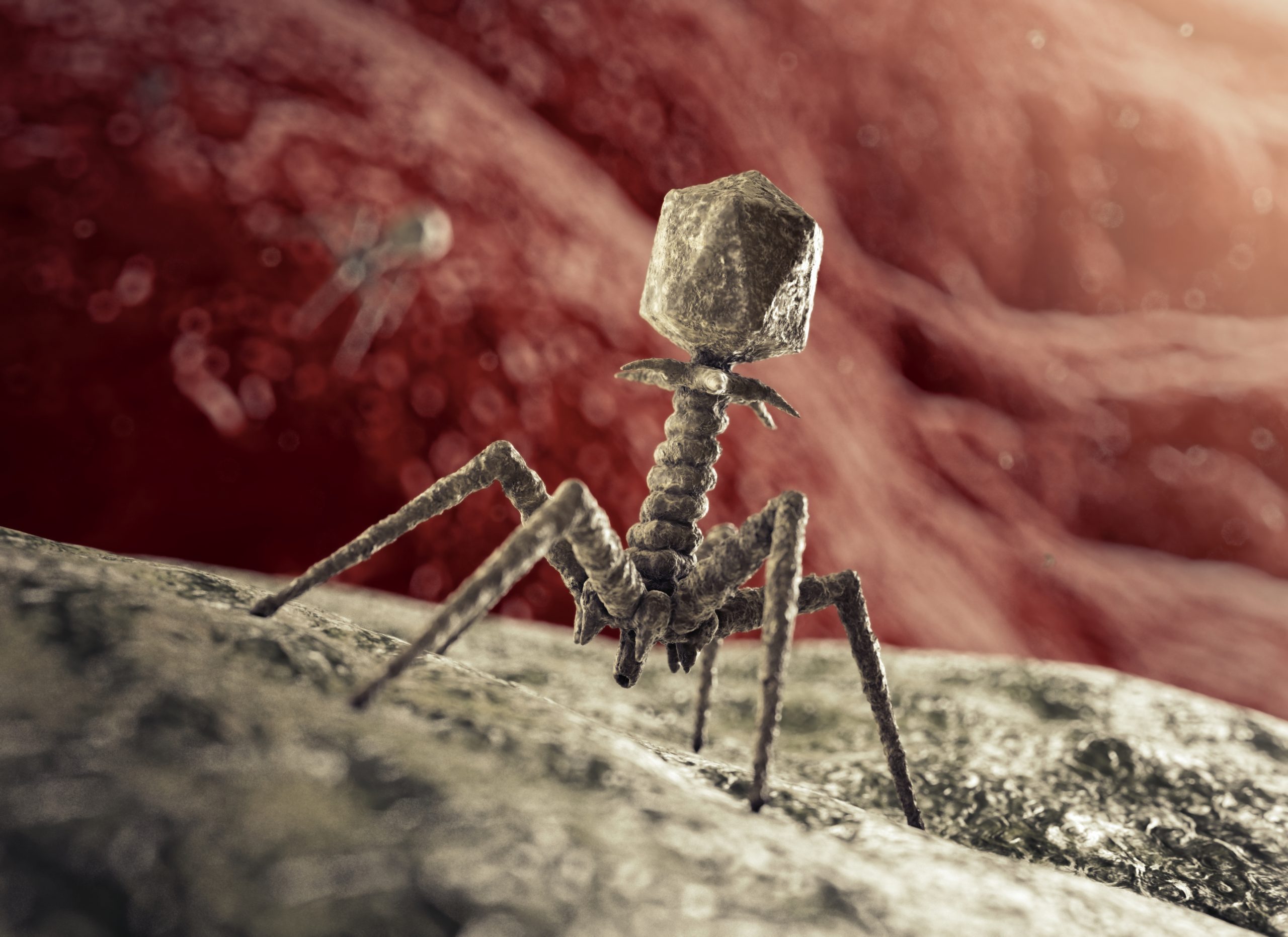 2560x1862 Bacteriophages Archives Precision Medicine