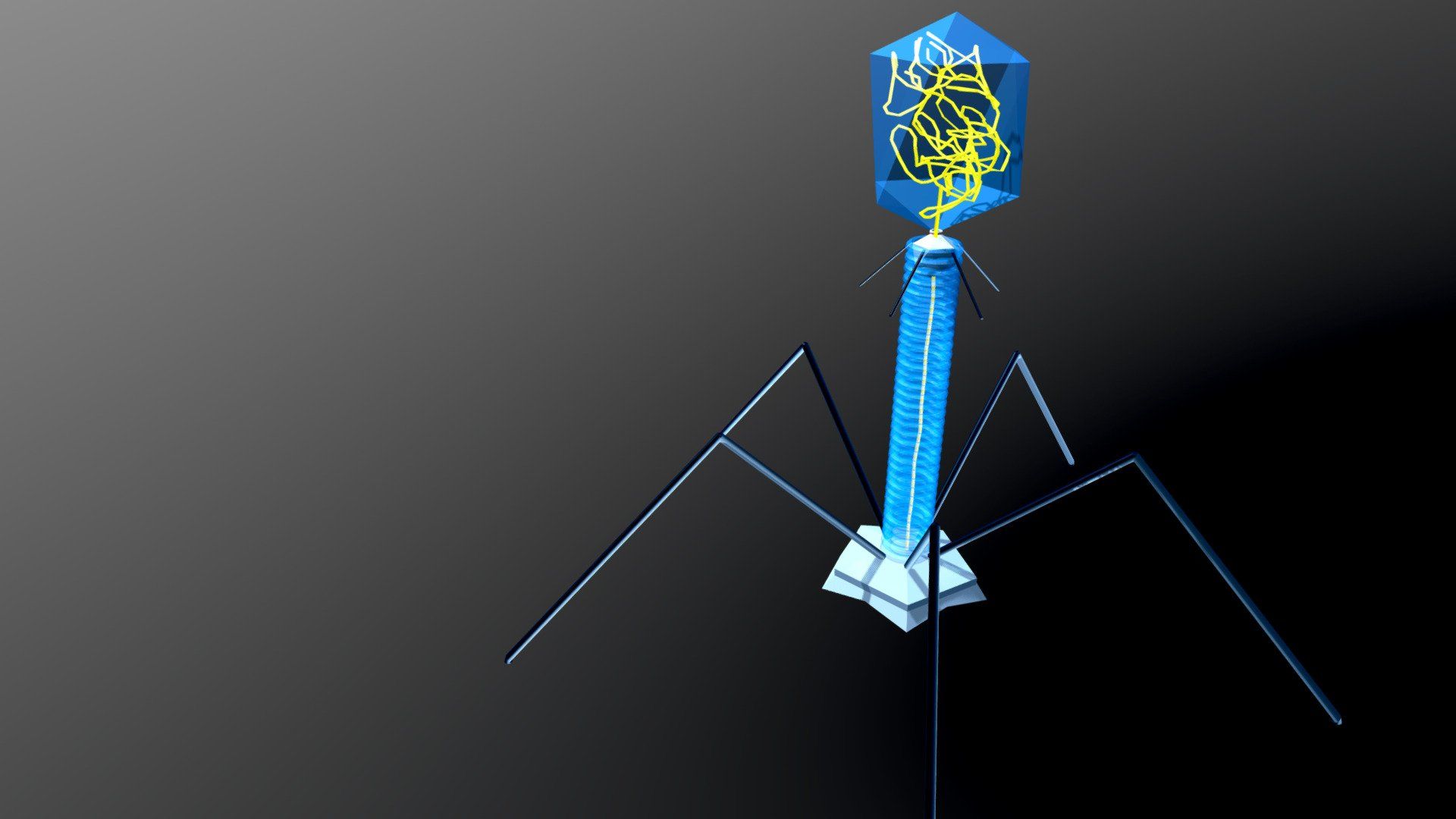 1920x1080 Bacteriophage New model by lukequezada [572317f]