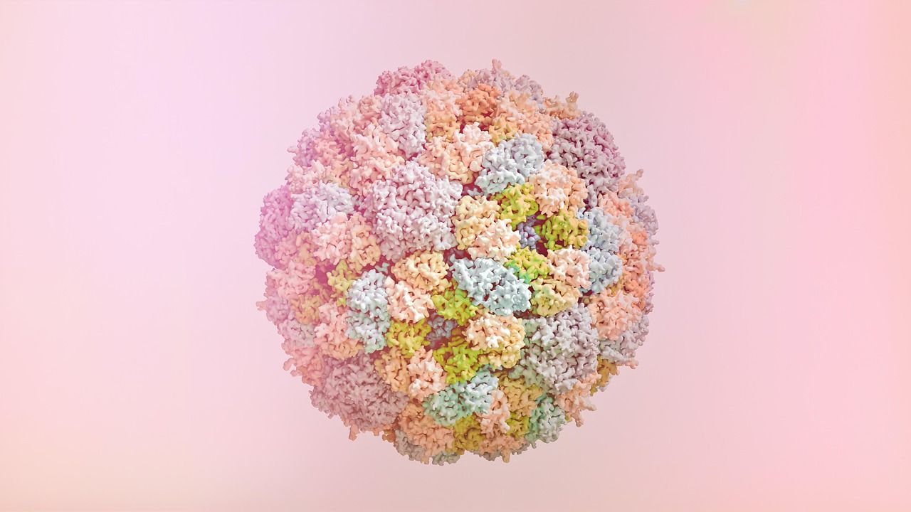 1280x720 Phi X Bacteriophage