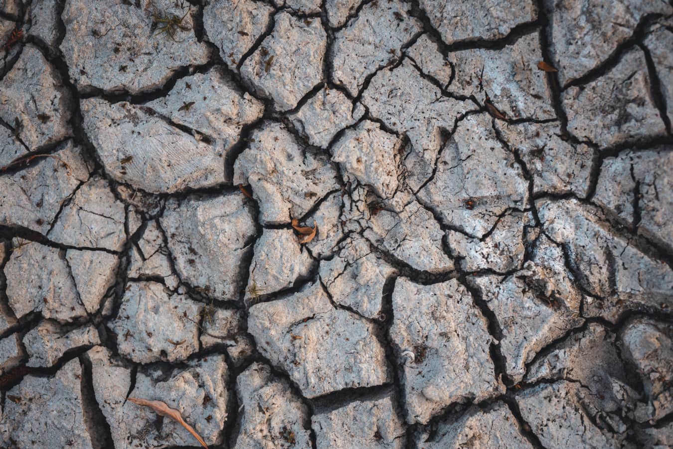 1350x900 Earth texture free image
