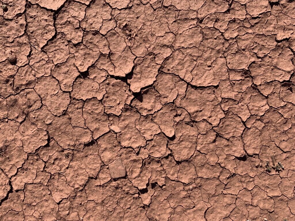 1024x768 Flaking and cracked earth