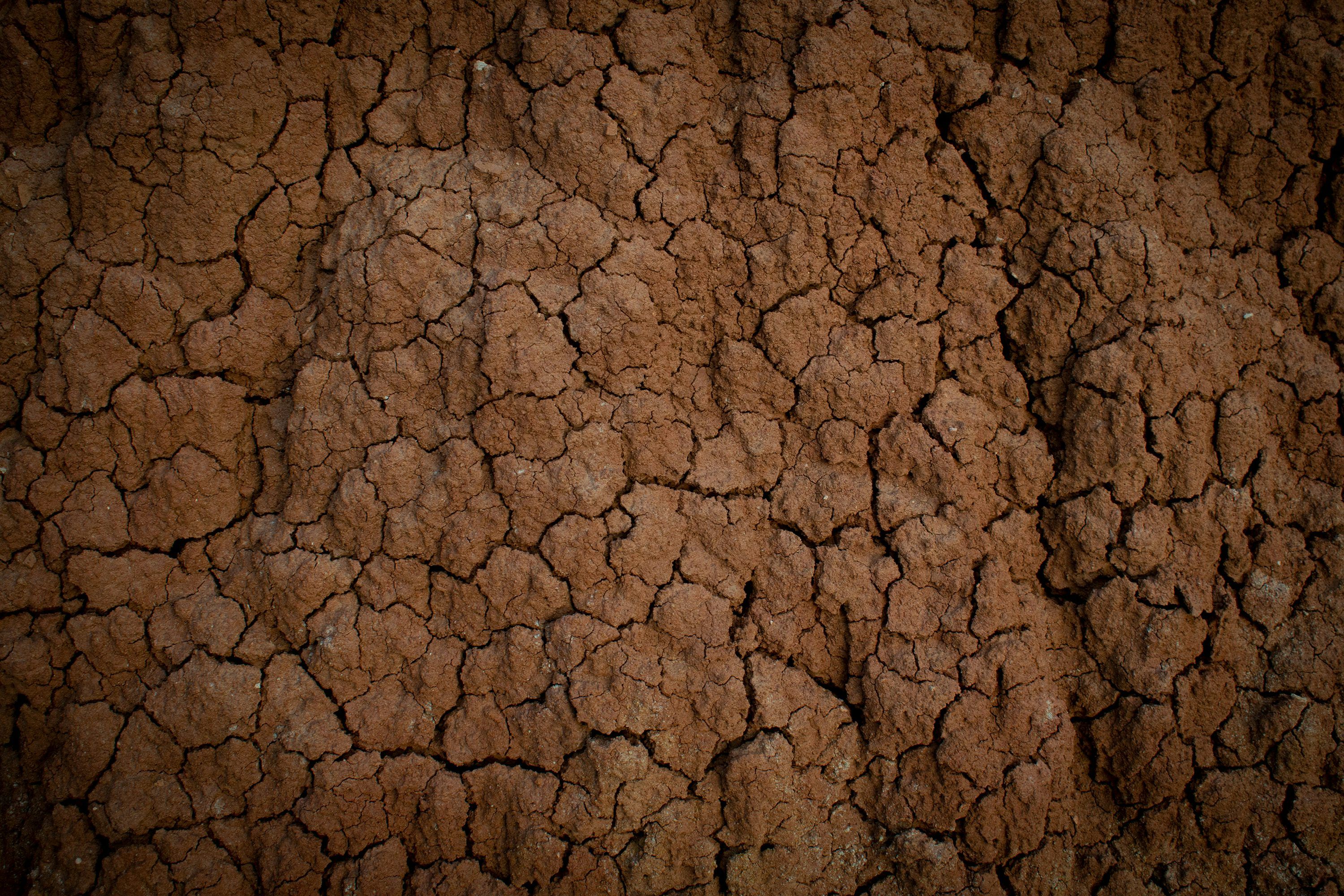 3000x2000 A close up of a brown dirt surface photo