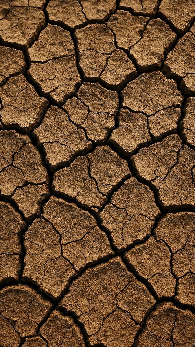 800x1422 Cracked earth texture wallpaper