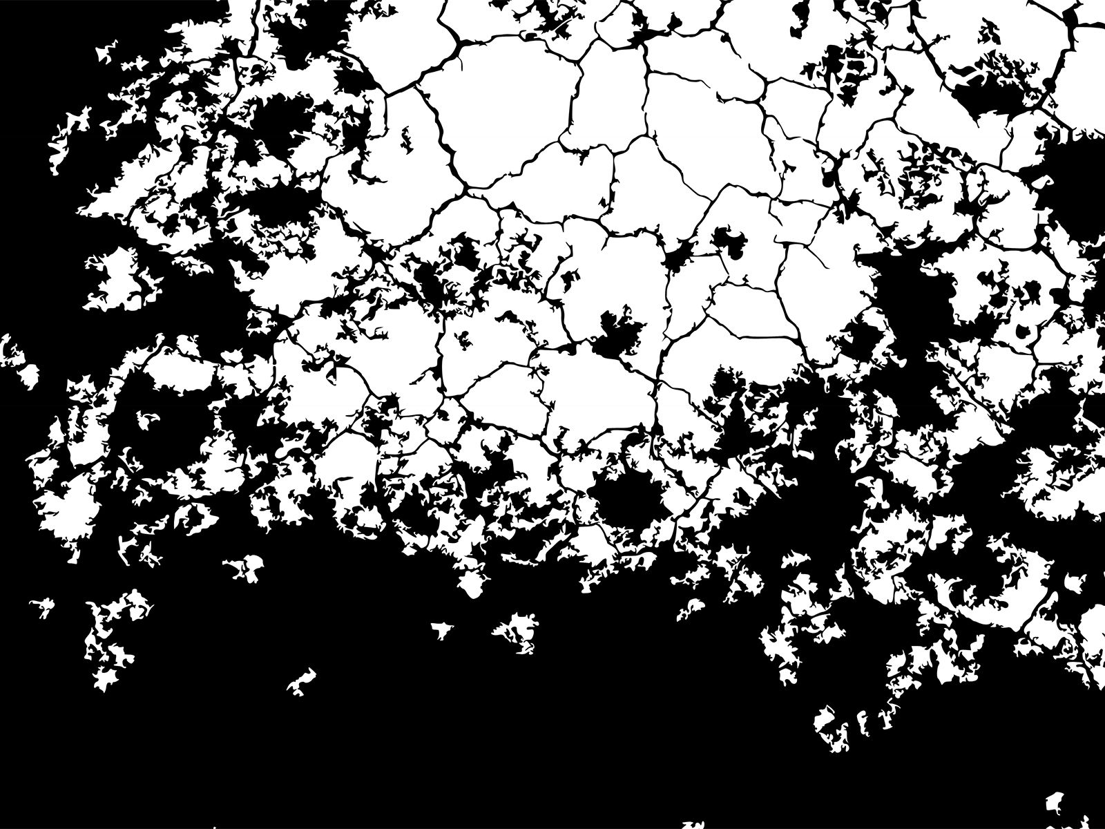 1600x1200 Cracked Earth Texture Background. Abstract, Black, White Templates. Free PPT Grounds