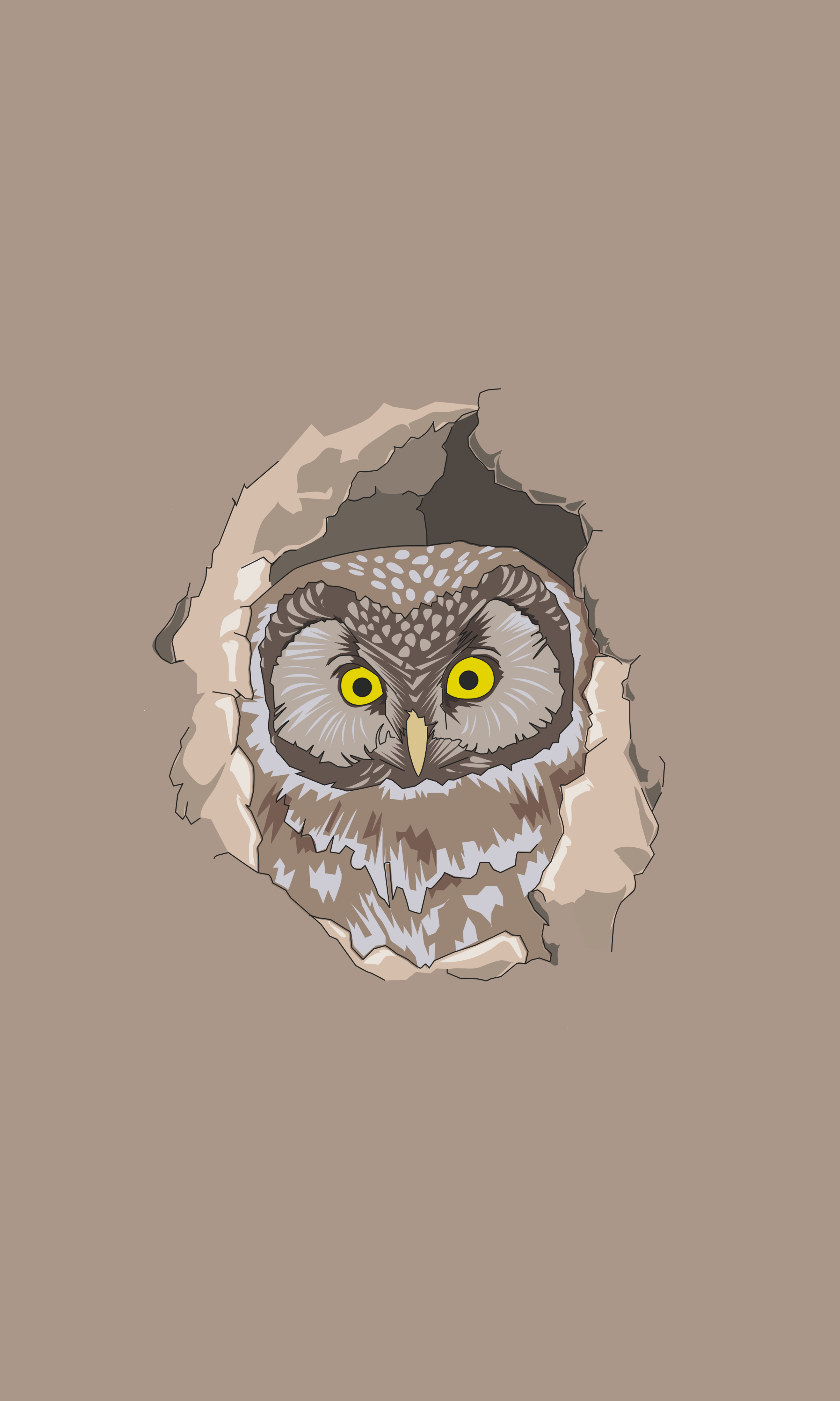 3000x5000 Download wallpaper 3000x5000 owl, spy out, vector, art HD background