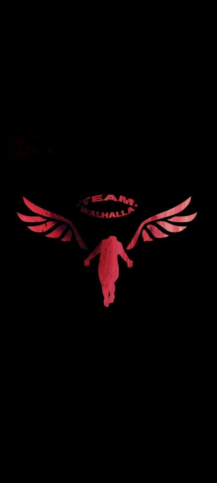 720x1600 Team walhalla wallpaper