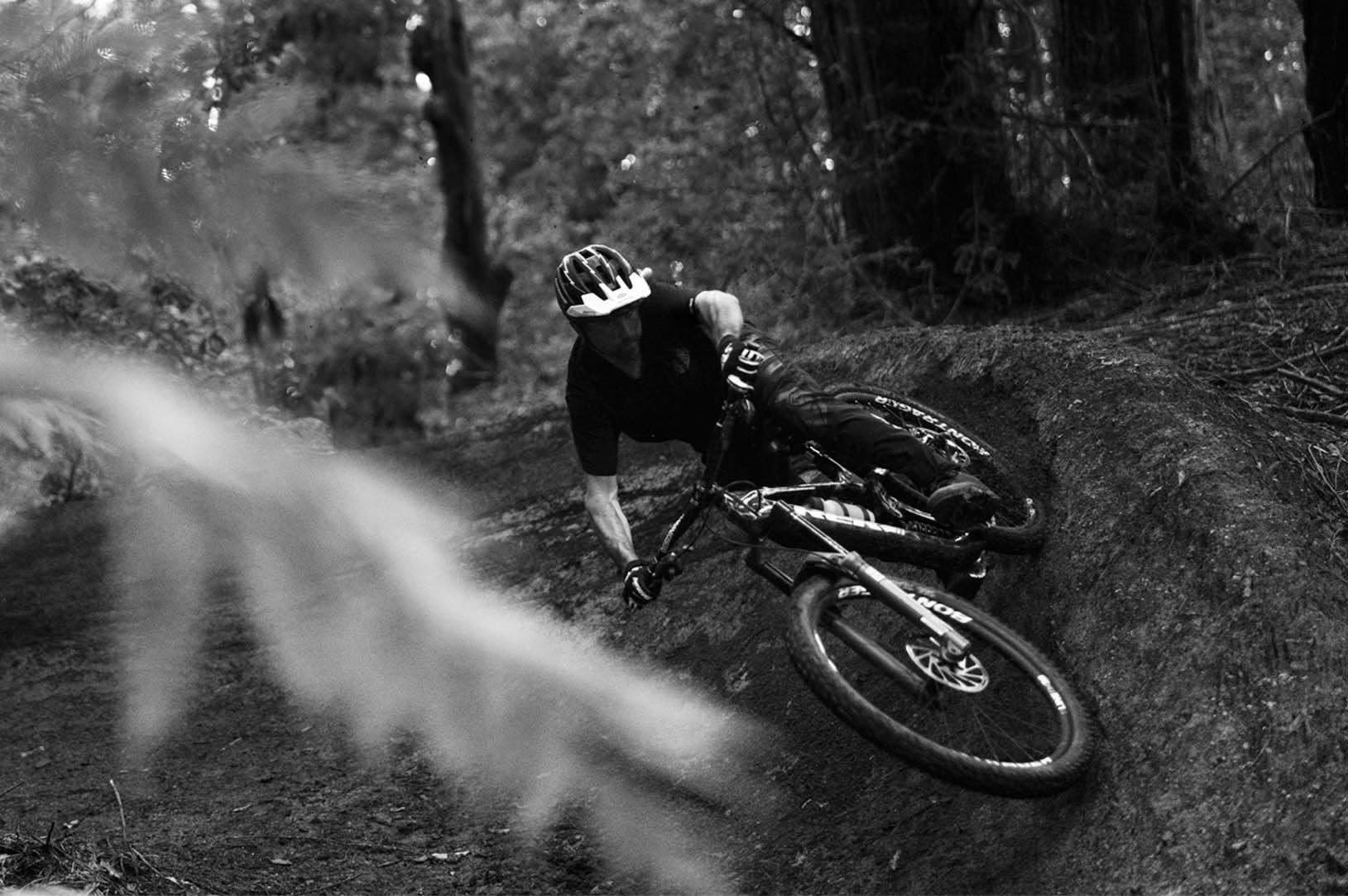 1629x1083 Watch Our Film A Letter To Aptos With Ryan R Dog Howard