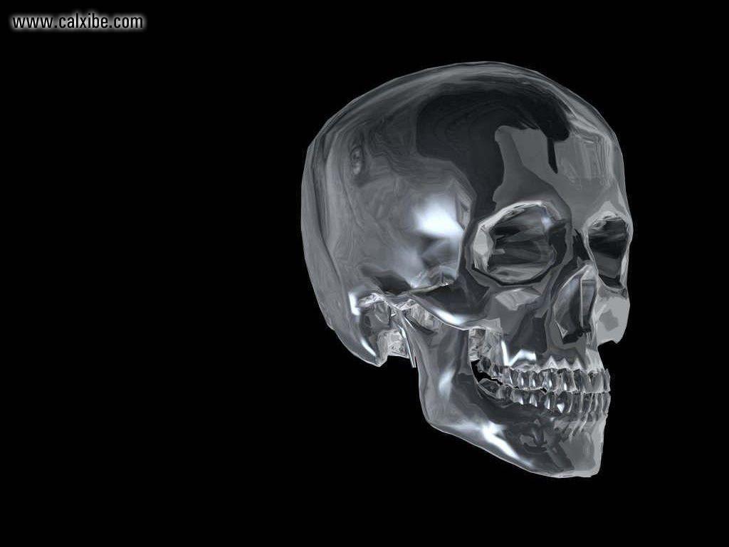 1024x768 Dimensional: Metal Skeleton Crystal Skull, picture nr. 6954