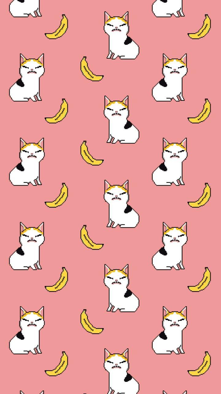 Banana Cat Wallpapers Top Free Banana Cat Backgrounds WallpaperAccess
