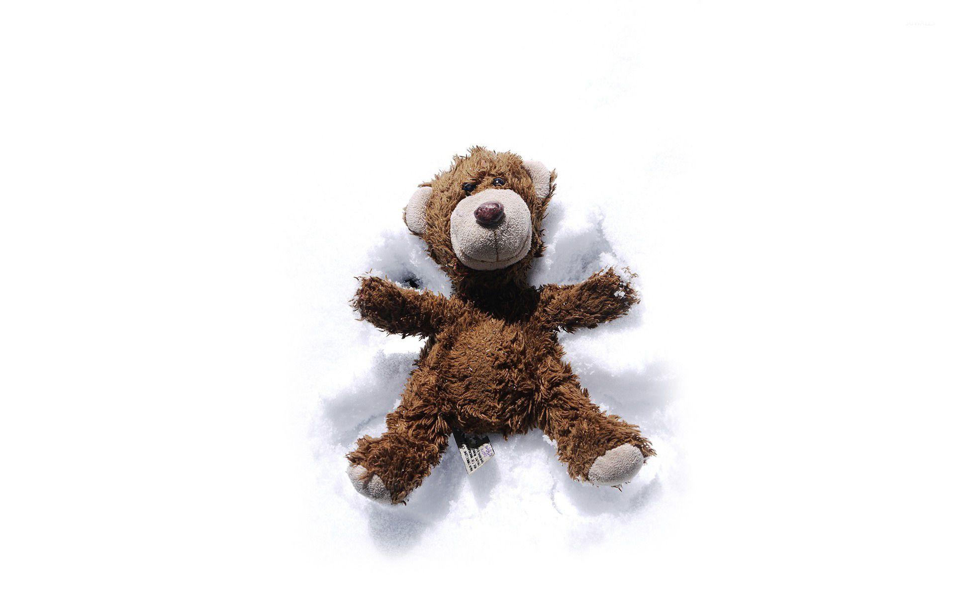 1920x1200 Teddy making a snow angel wallpaper wallpaper