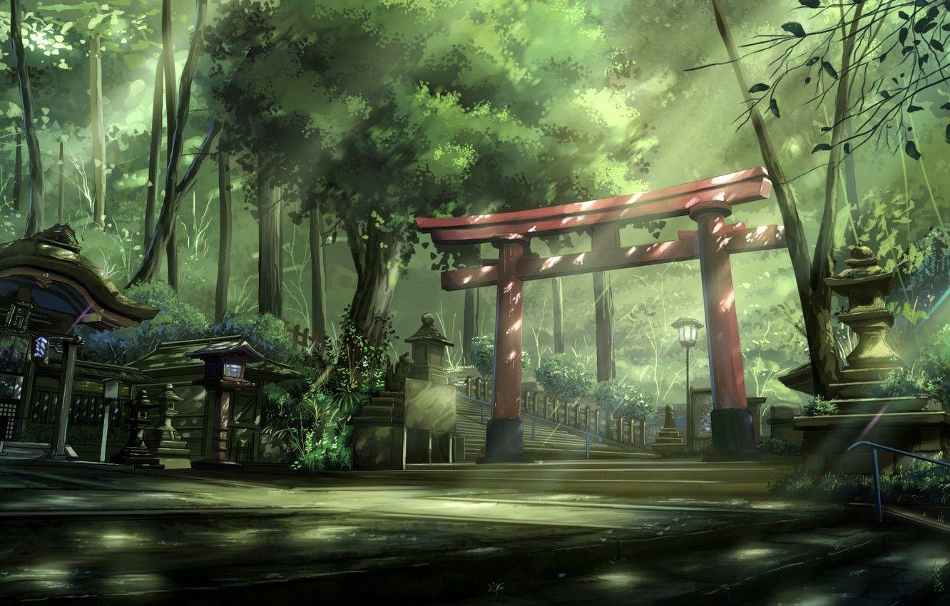 1332x850 Wallpaper summer, trees, Japan, lights .