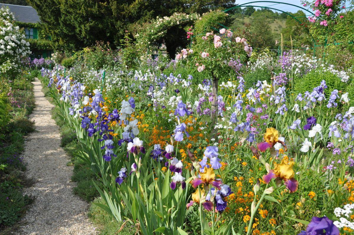 1200x797 Free download Of Giverny Monet S Oriental Garden Photo By Melissa