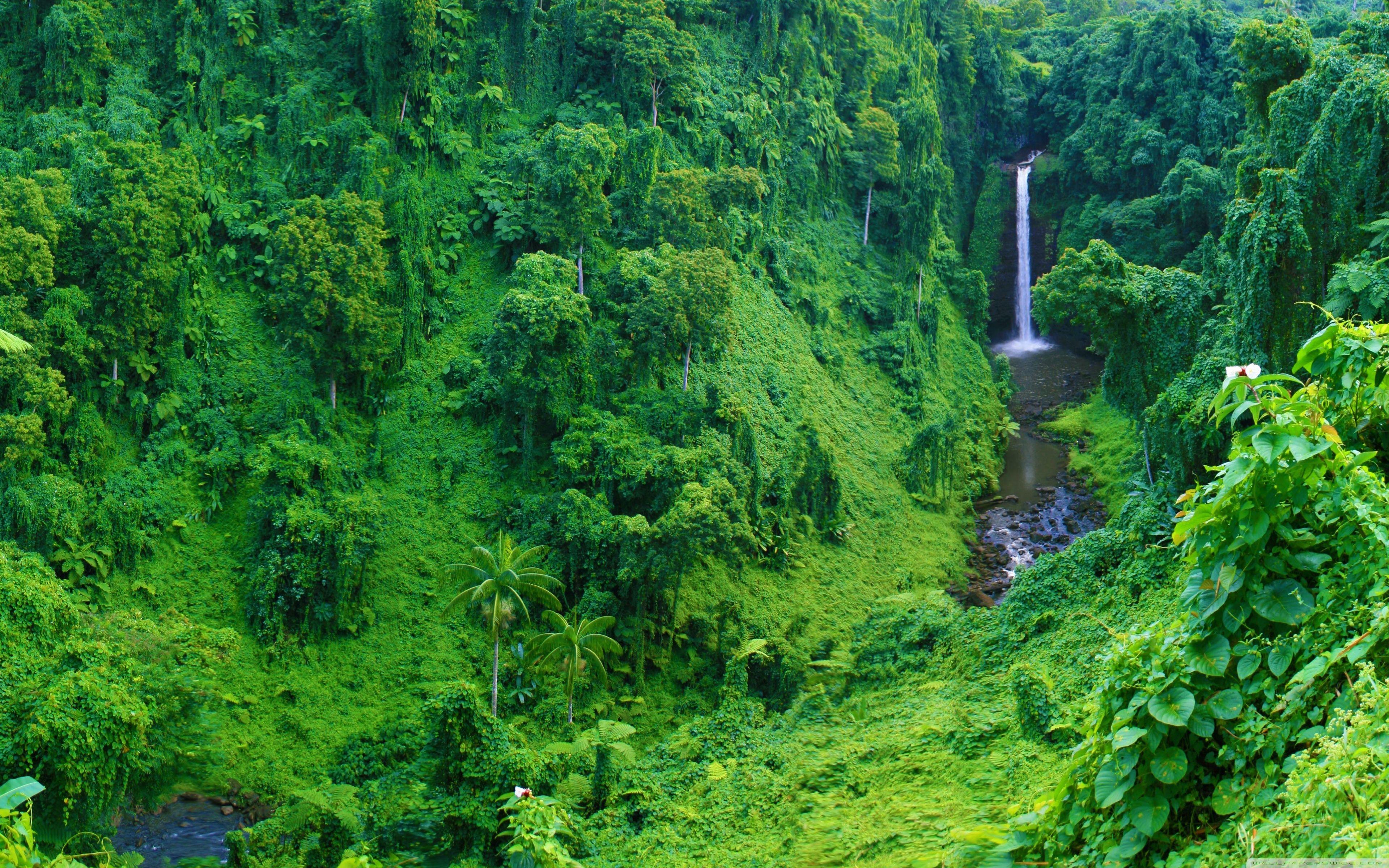 3840x2400 Jungle Waterfall ❤ 4K HD Desktop Wallpaper for • Dual Monitor