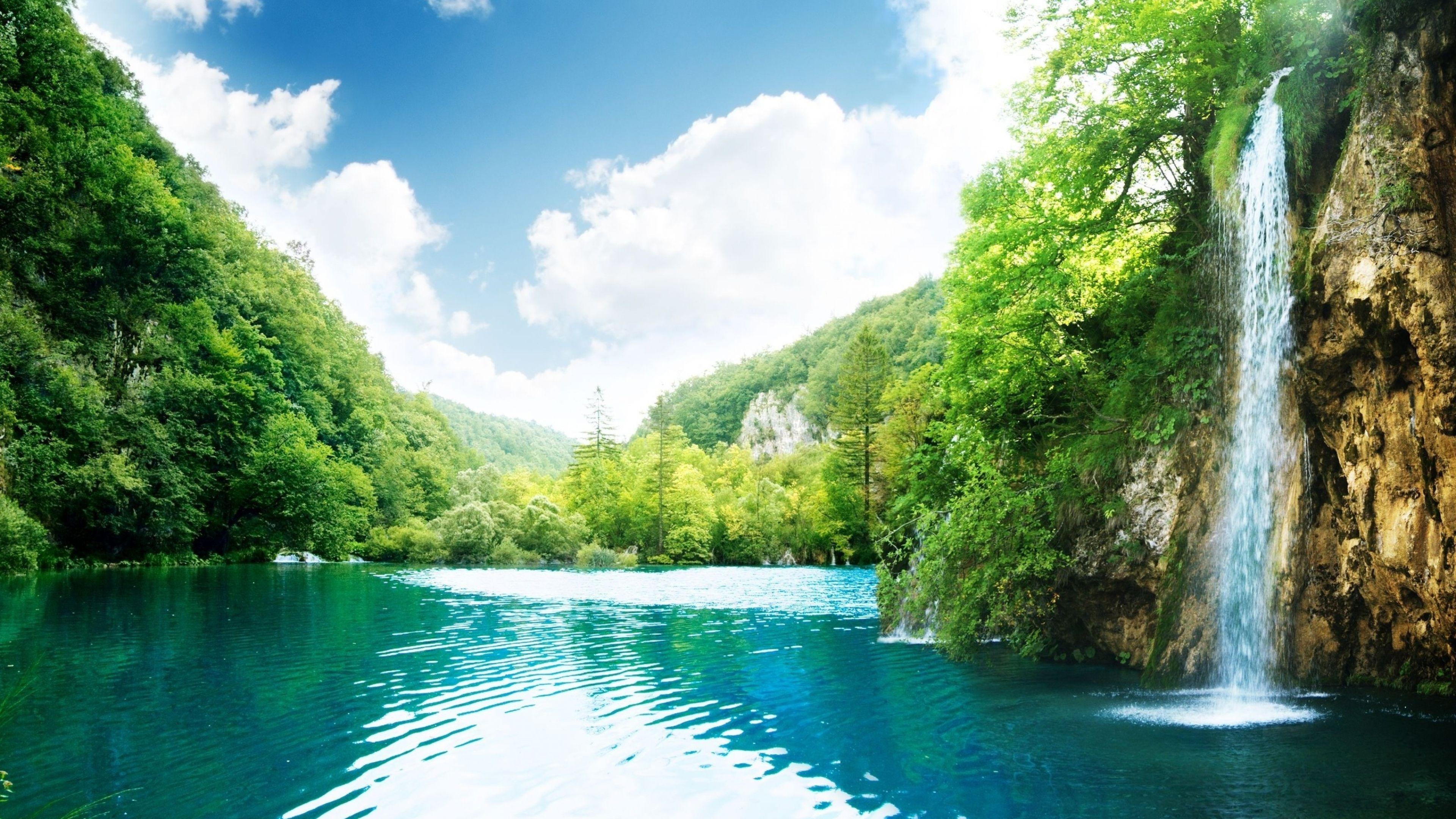 3840x2160 Tropical Jungle Wallpaper Gallery (81 Plus) PIC WPT408565