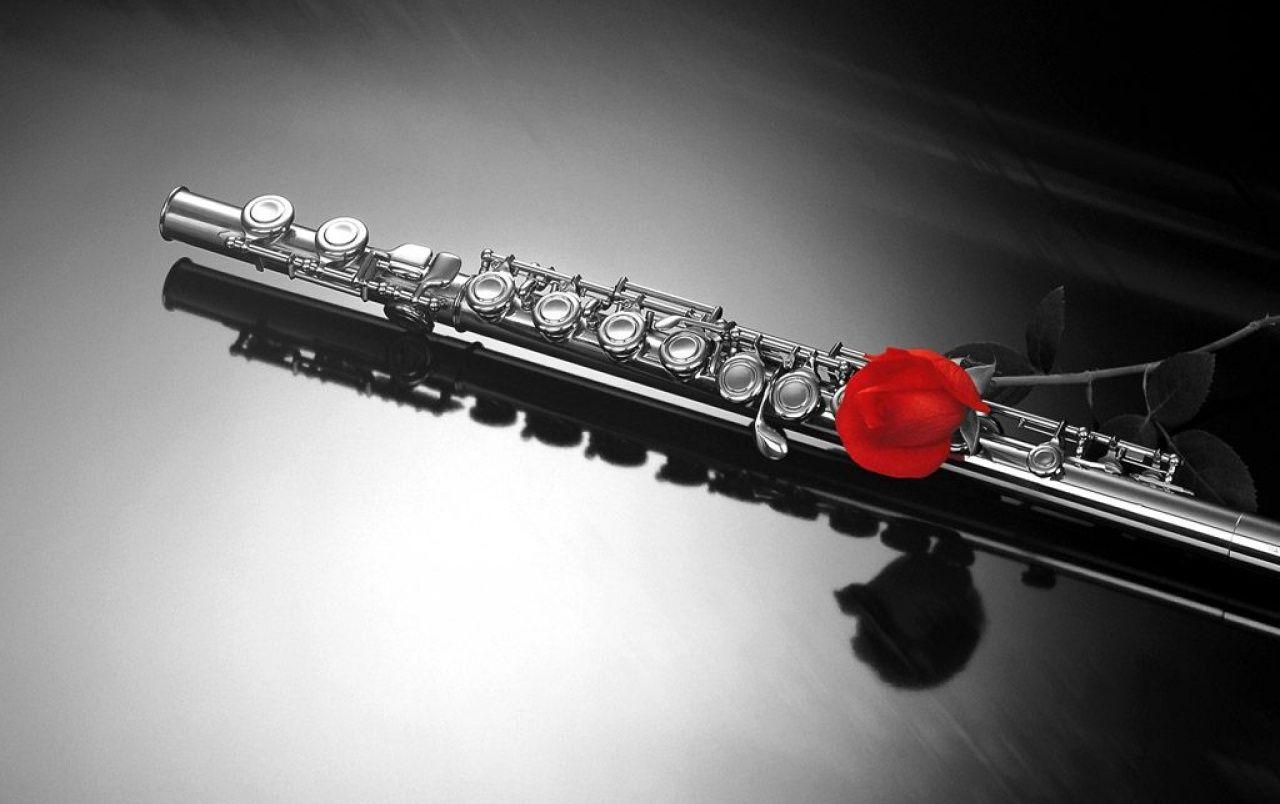 1280x804 Instrument and rose wallpaper. Instrument and rose