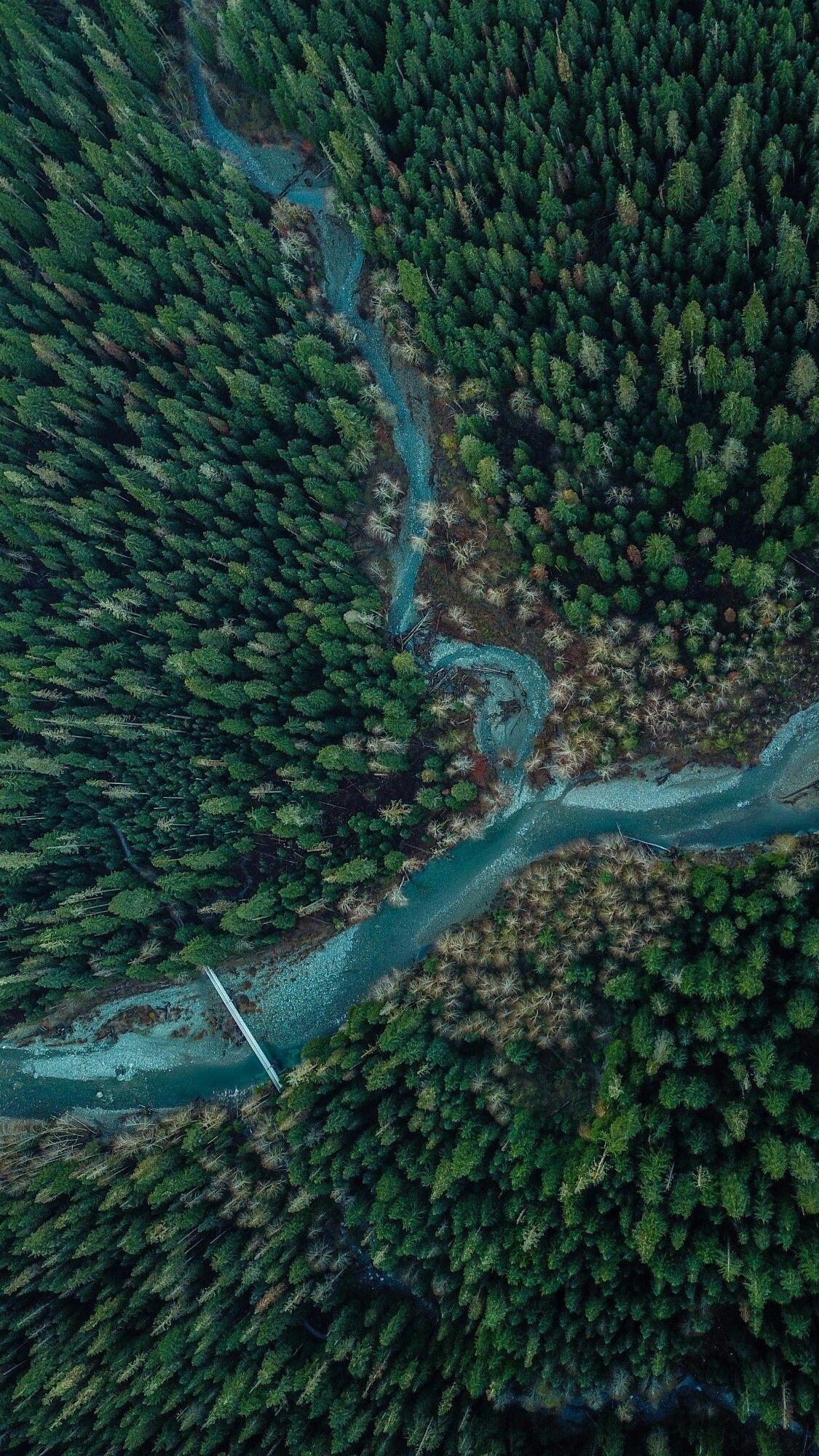 1125x2000 HD Phone Wallpaper. Nature photography