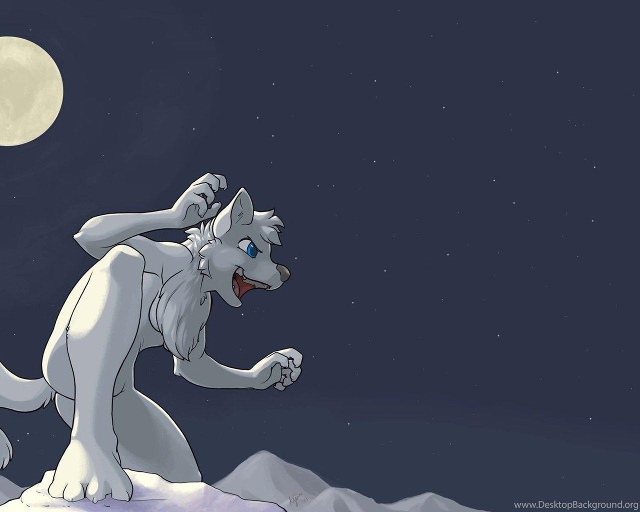 1280x1024 Wallpaper Furry Stars Blue Eyes Moon Ajin Fandom 1920x1080
