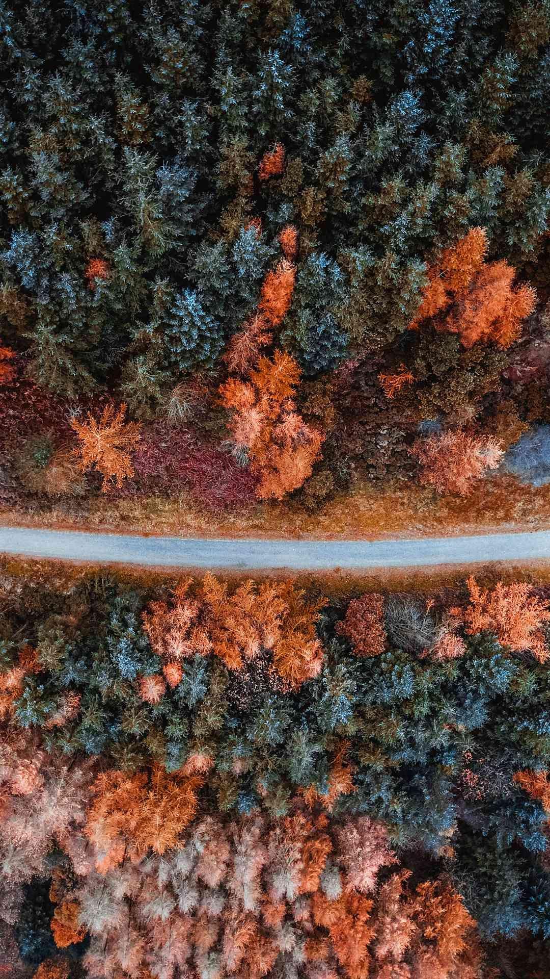 1080x1920 Drone Photography Nature Forest iPhone Wallpaper. Nature