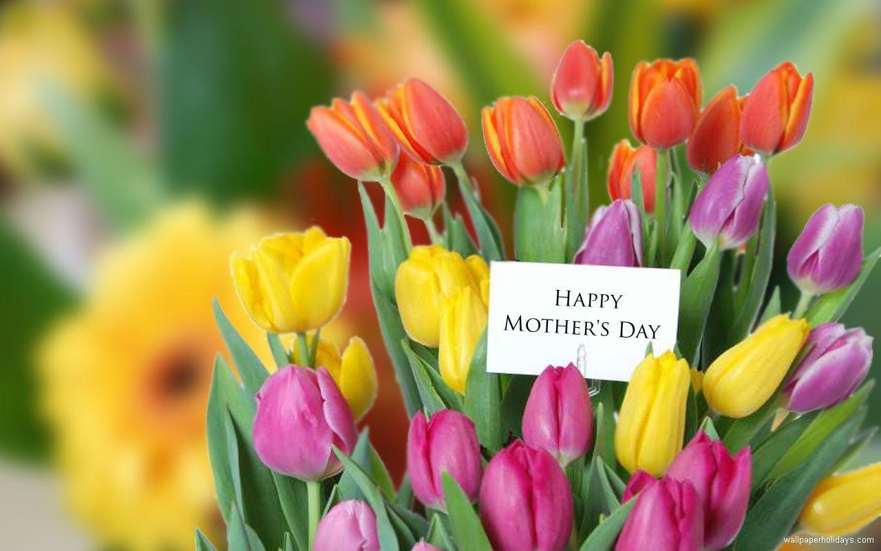 1280x800 Free download 25 Best Mothers Day Flowers Ideas [1280x800]