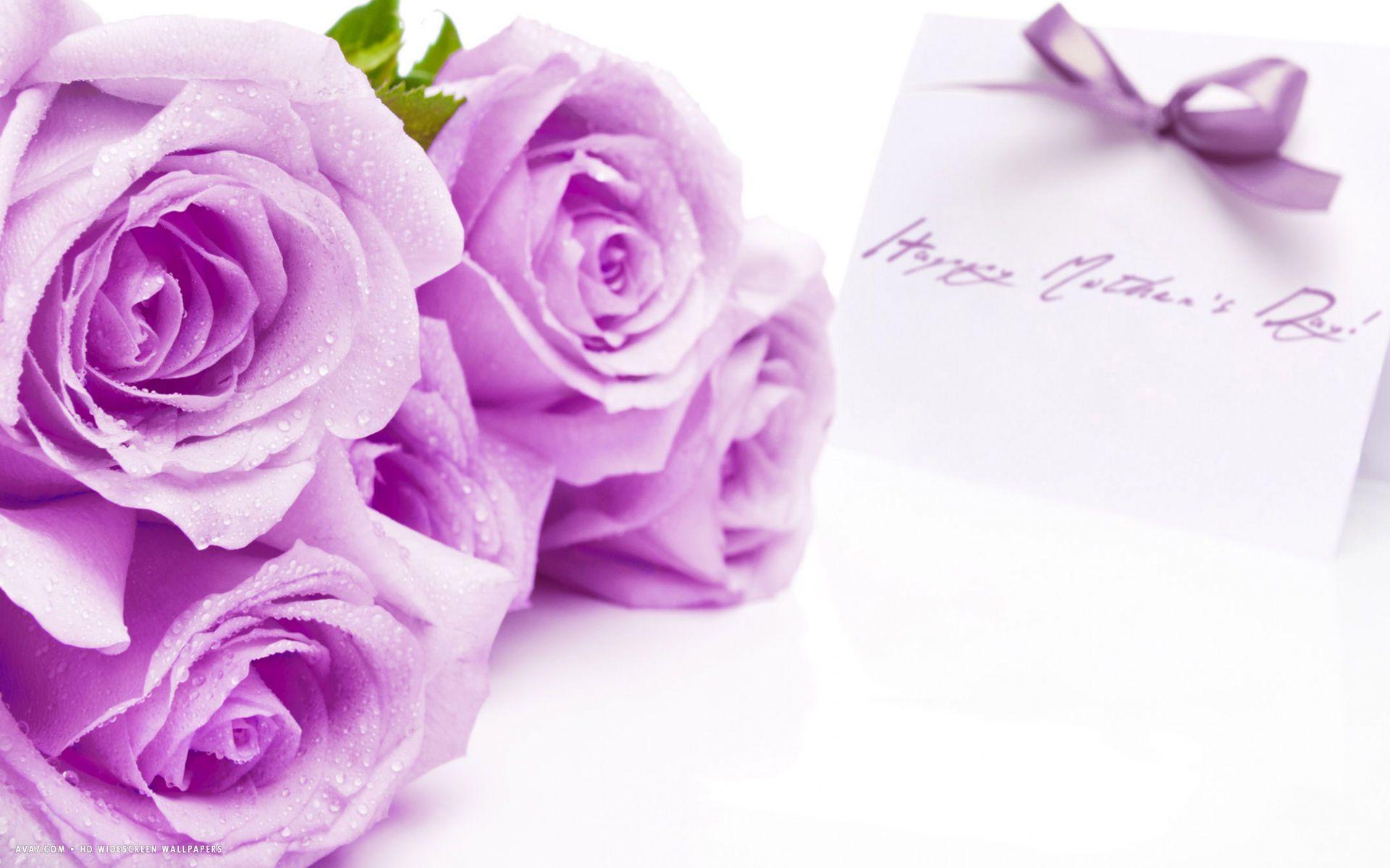 1920x1200 happy mothers day card bow violet purple roses flowers holiday HD