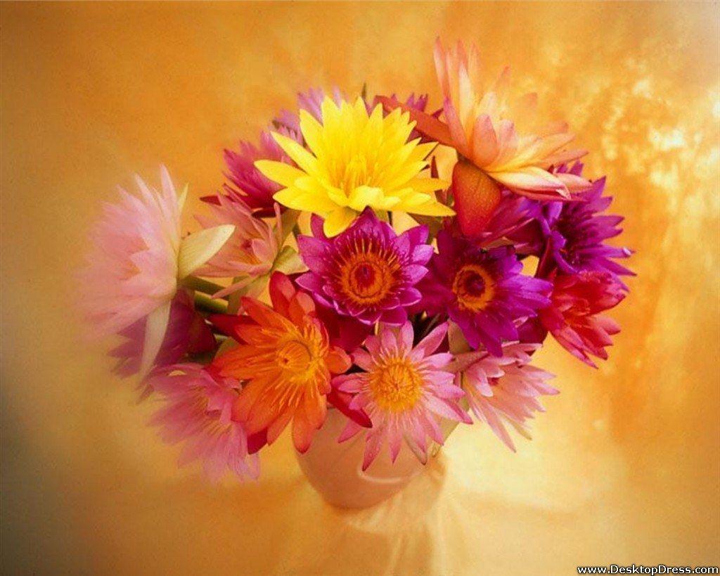 1024x819 Free download Desktop Wallpaper Flowers Background Happy Mothers