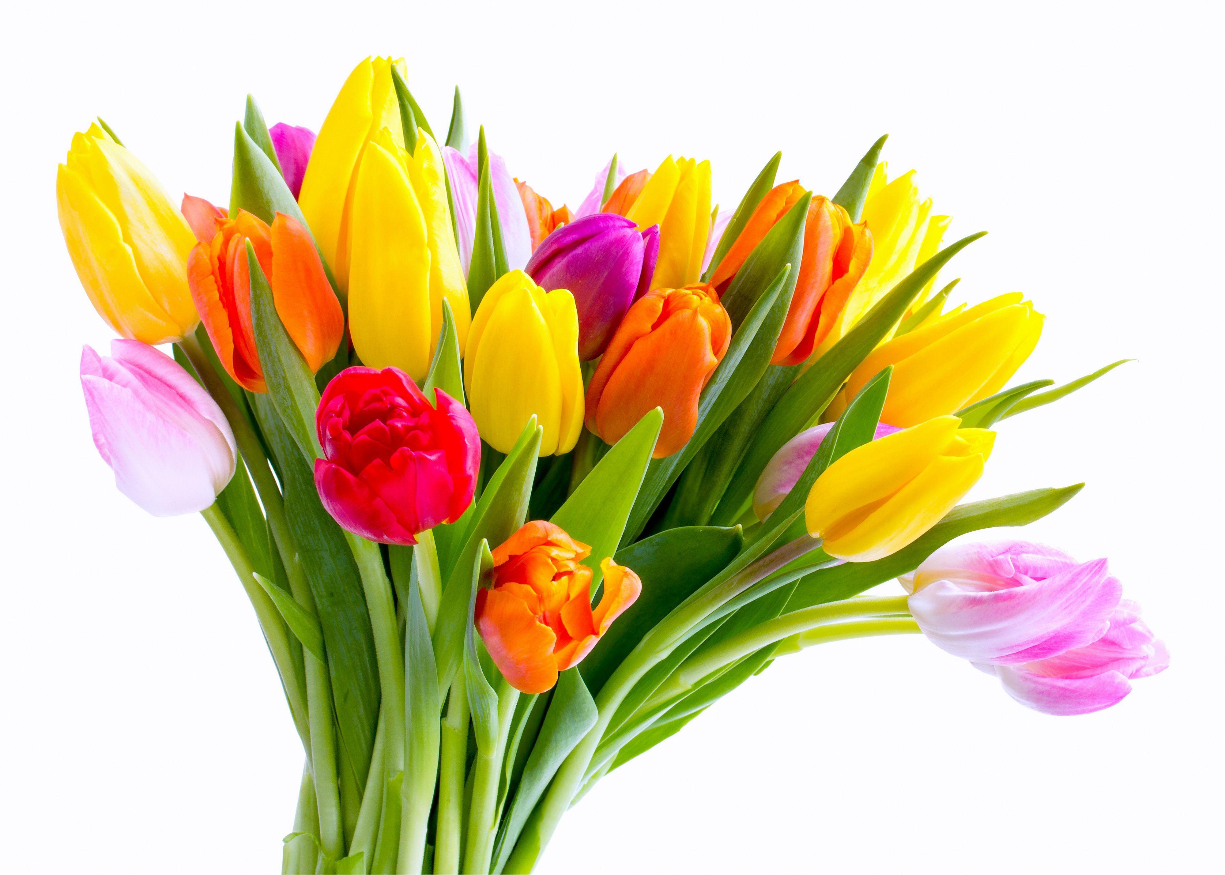 4000x2857 Flowers Bouquet Wallpaper HD with Wallpaper High Resolution