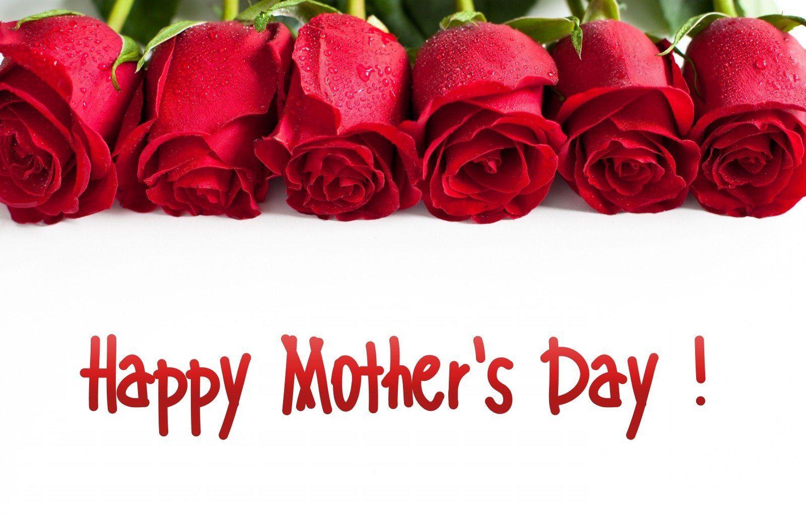 1600x1022 Roses for Mother's day Wallpaper and Background Imagex1022