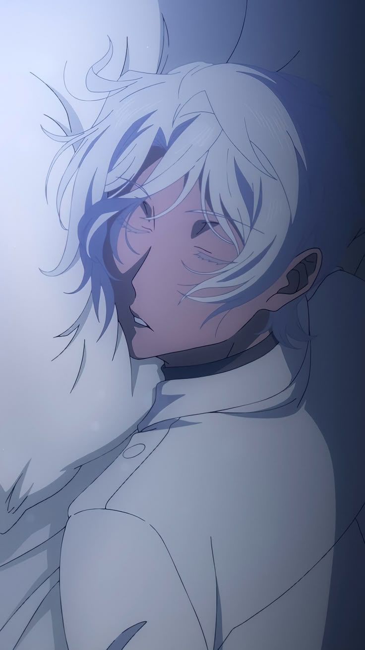 736x1309 noé wallpaper